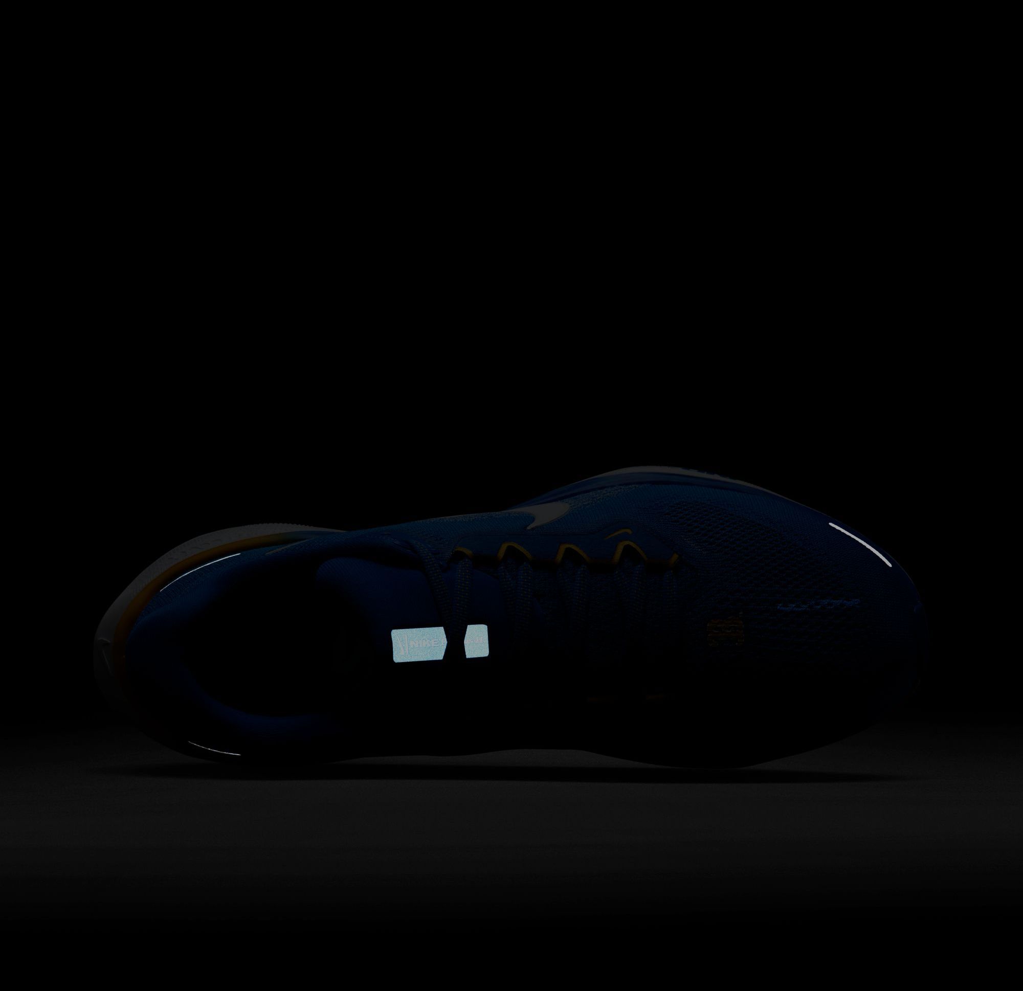 Nike Pegasus 41 UCLA Running Shoes product image