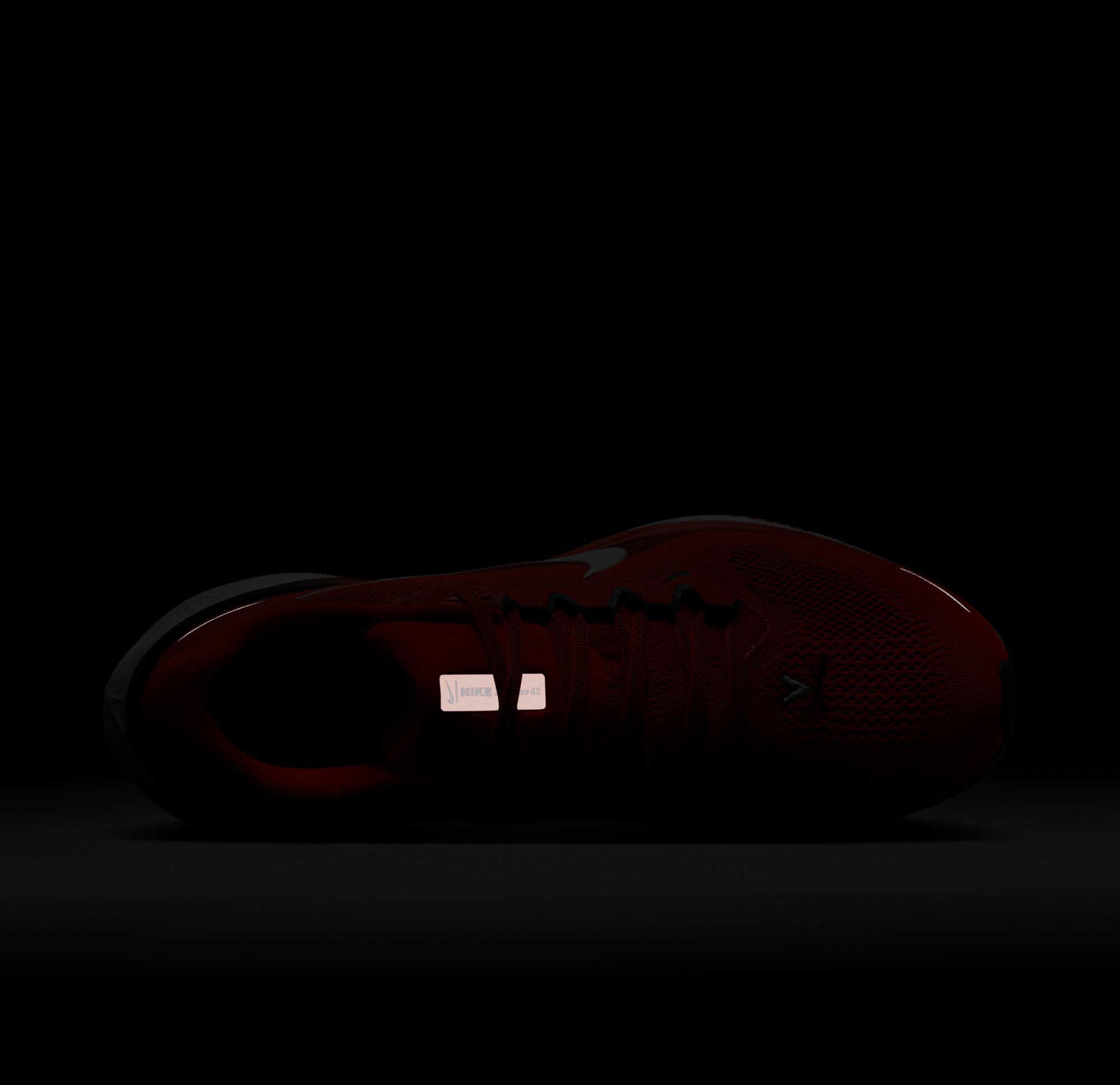 Nike Pegasus 41 Virginia Running Shoes product image