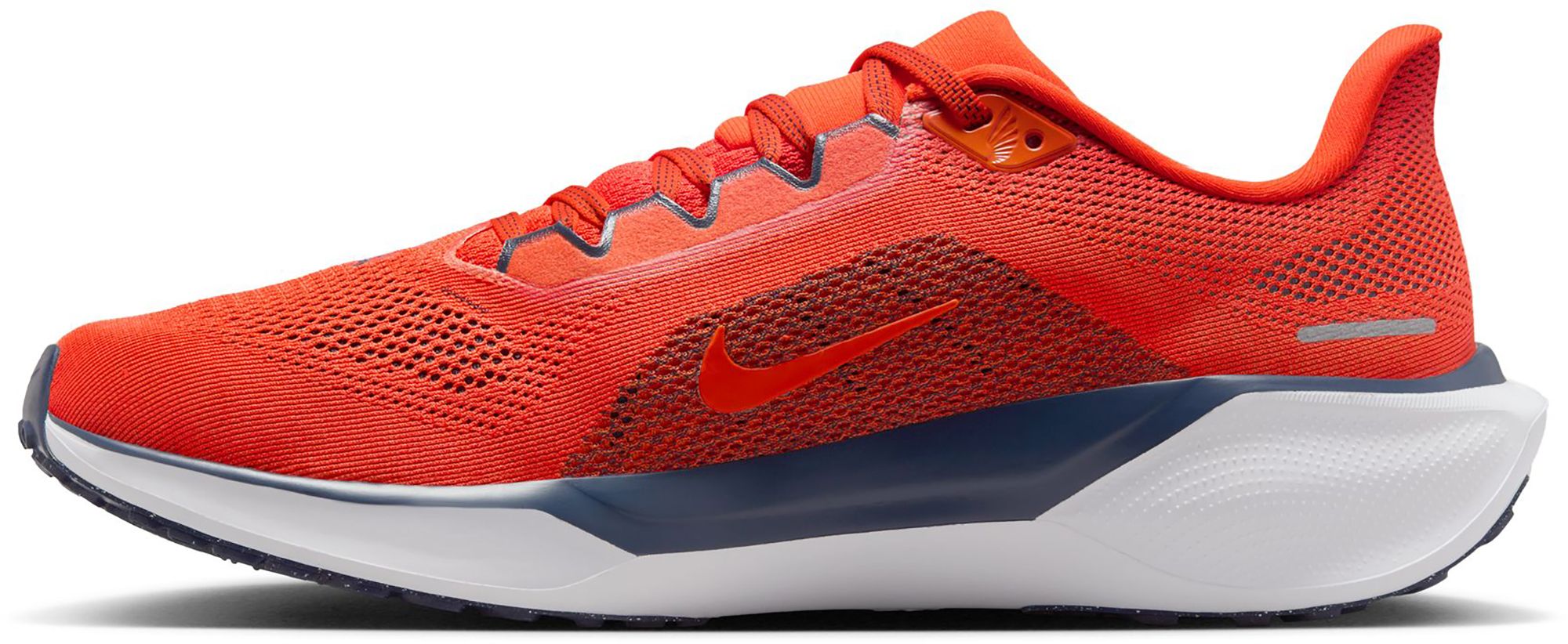 Nike Pegasus 41 Virginia Running Shoes product image