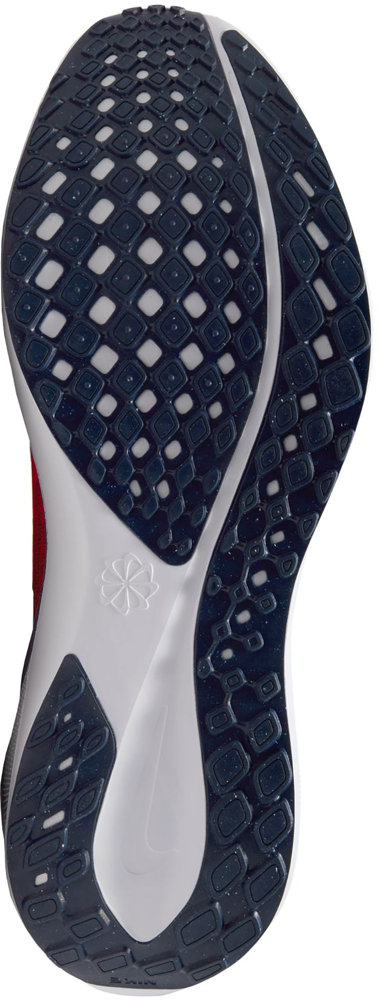 Nike Pegasus 41 Virginia Running Shoes product image