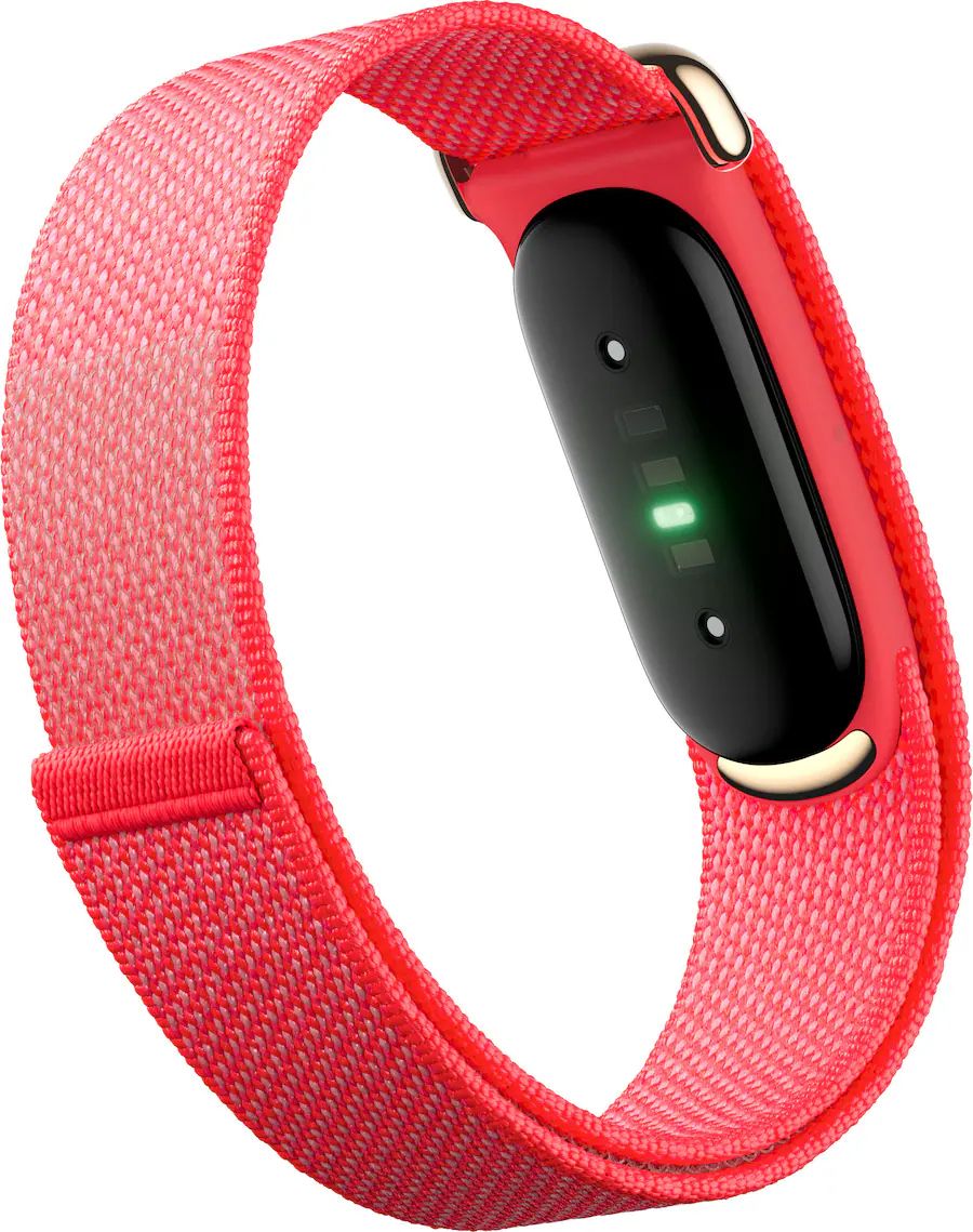 Google Fitbit Air Fitness & Health Tracker product image