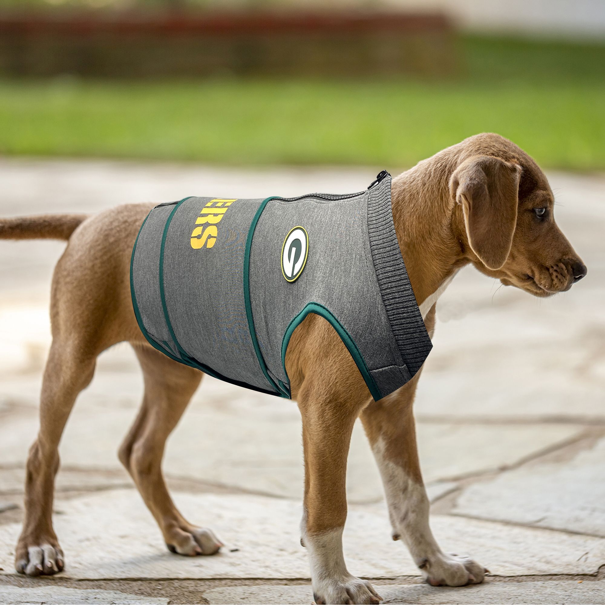Pets First Green Bay Packers Soothing Vest product image