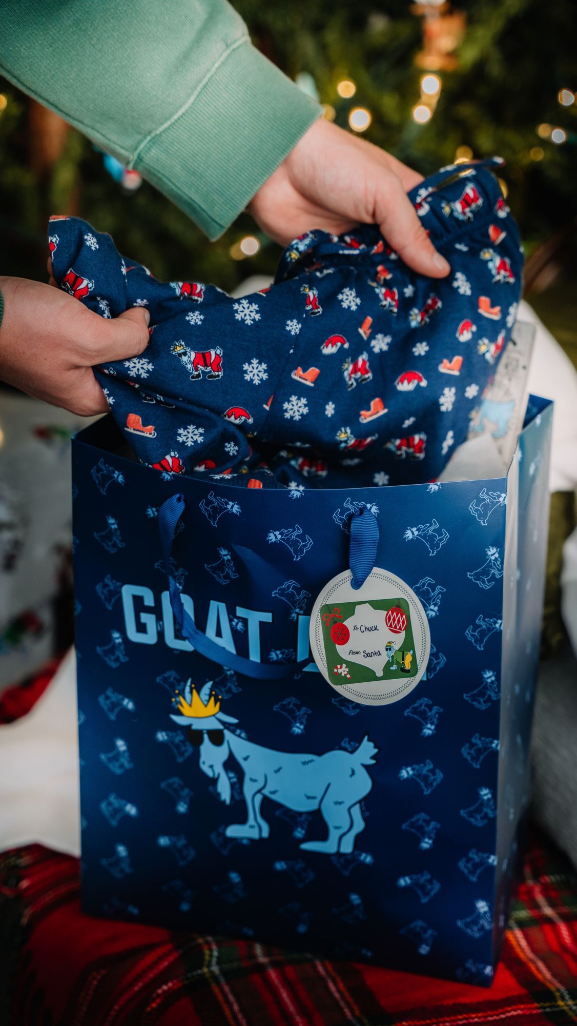 GOAT USA Youth Santa Pajama Pants product image