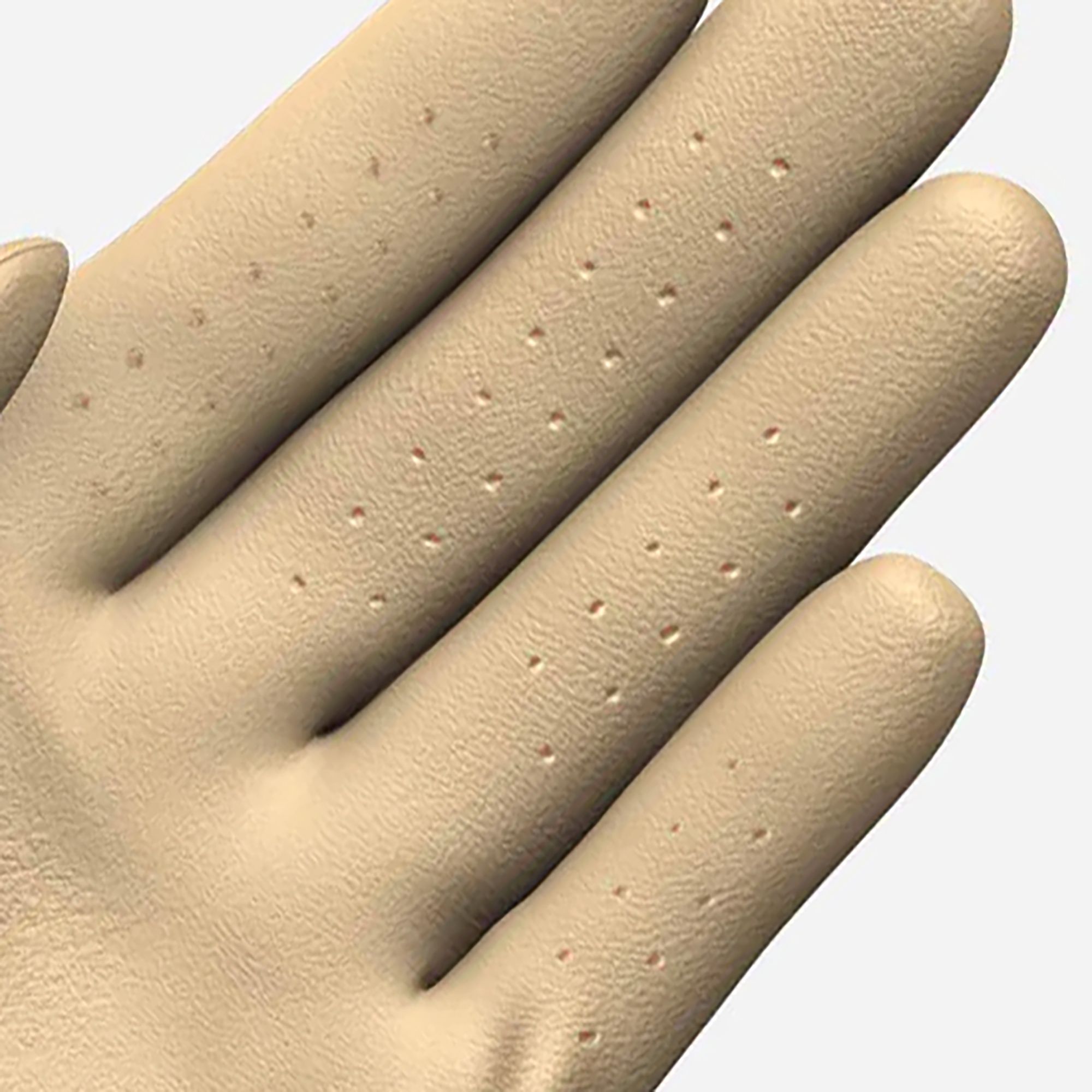 Ghost Golf Women's Glove product image