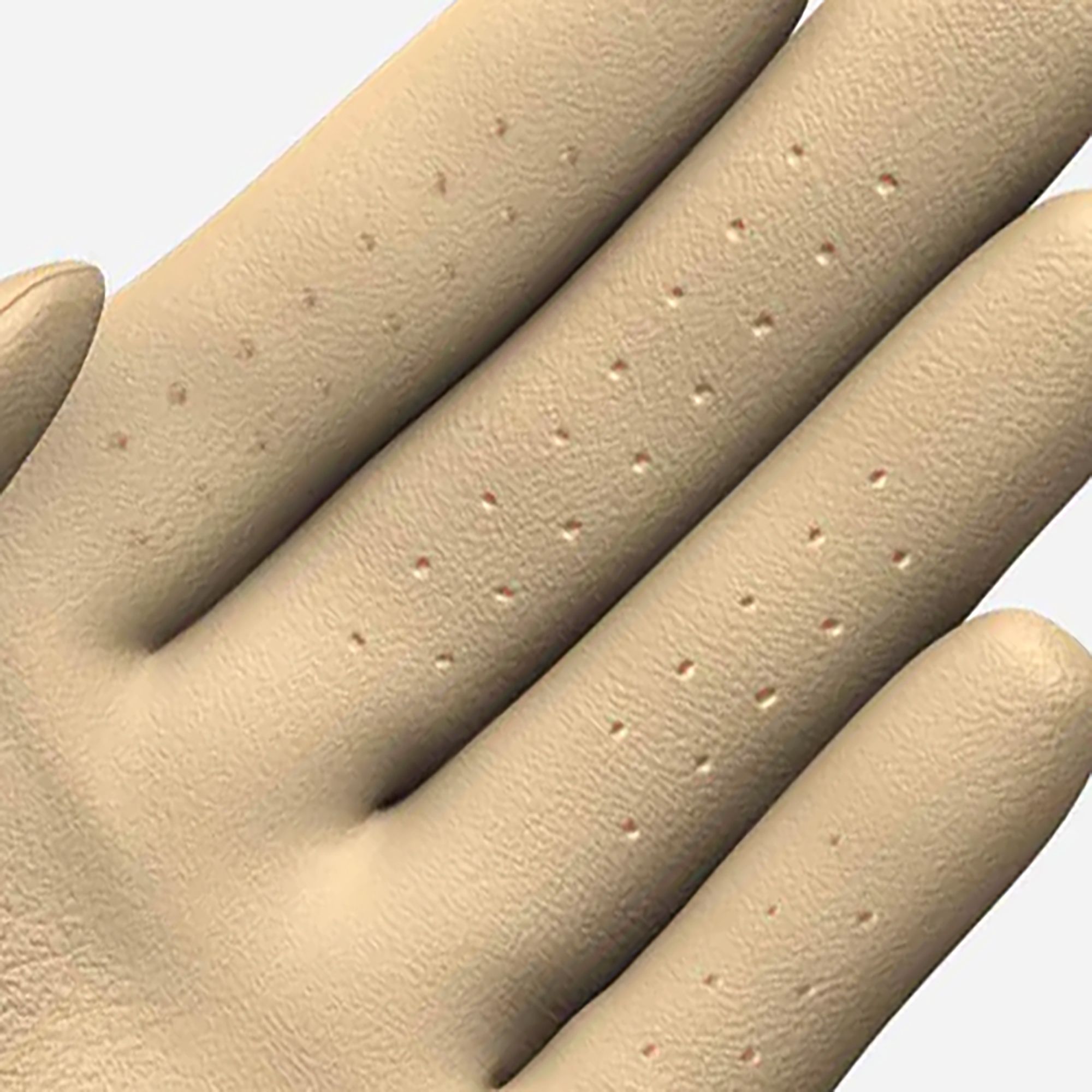 Ghost Golf Glove product image