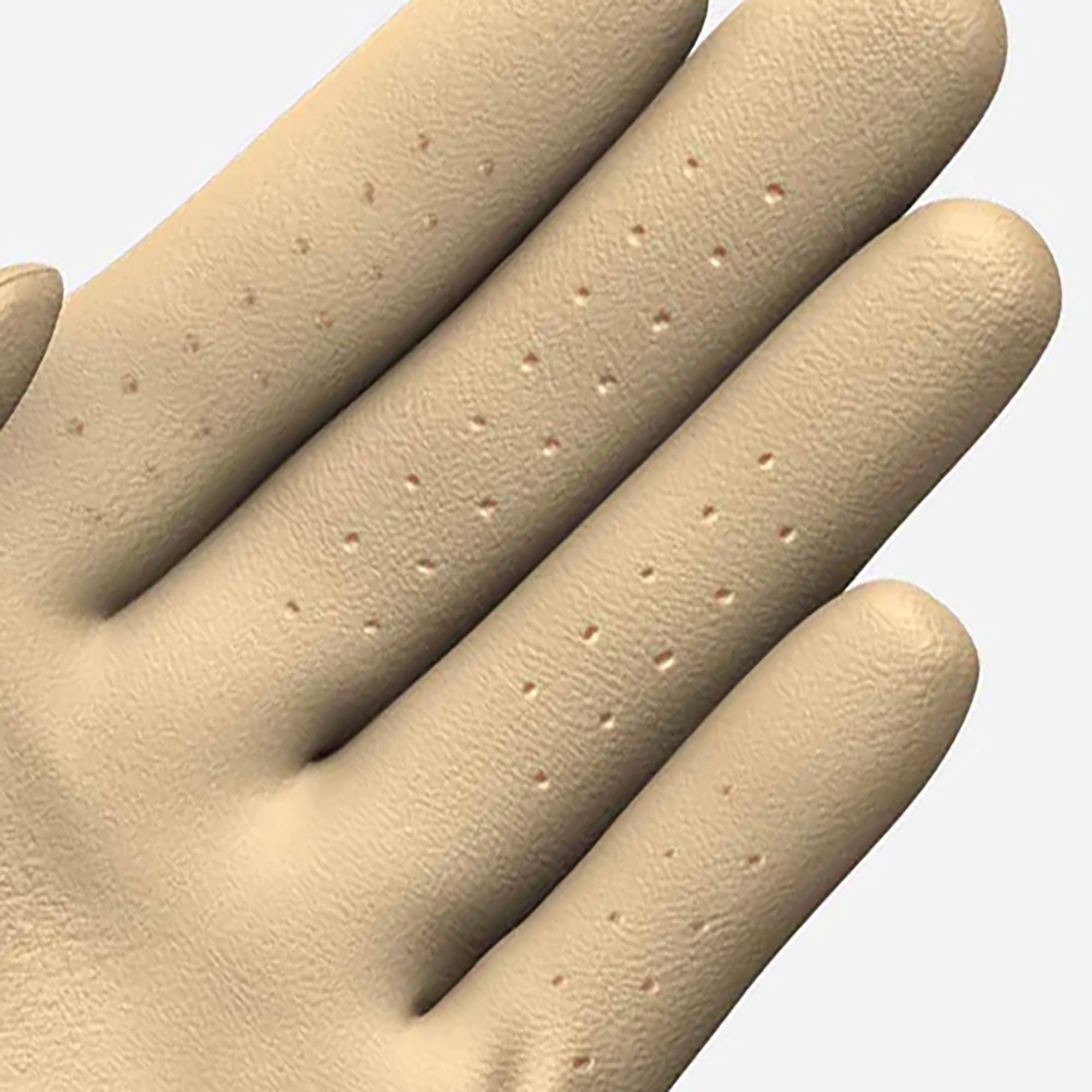 Ghost Golf Women's Glove product image