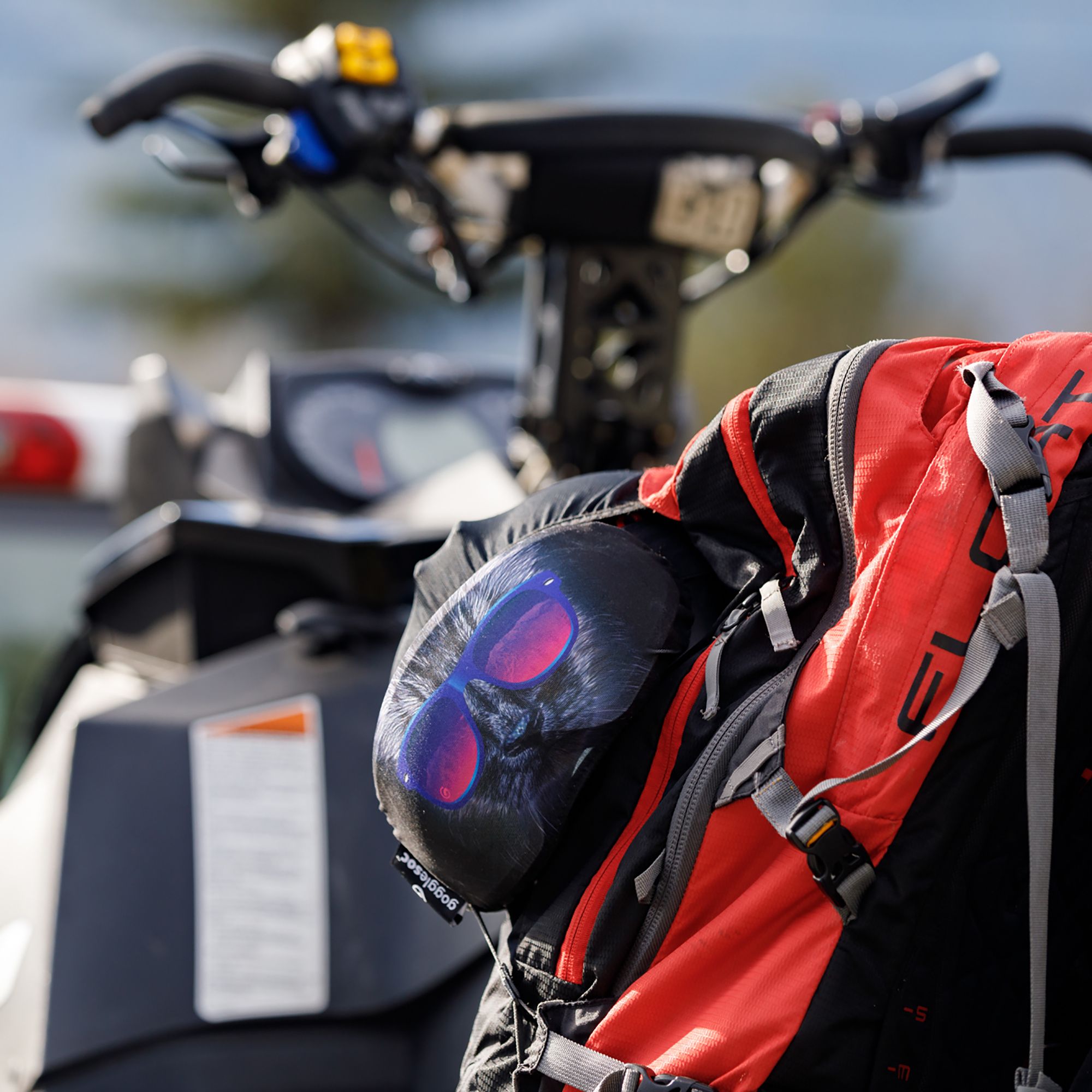 Gogglesoc Unisex Bad Kitty Soc Goggle Cover product image