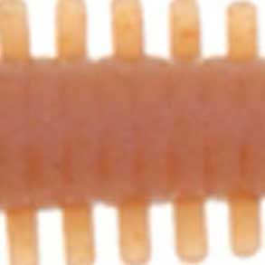 Berkley Gulp! Saltwater Sandworm product image