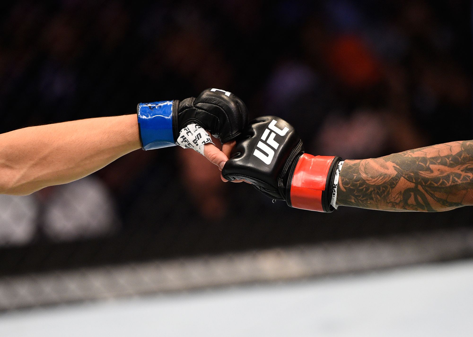 UFC Offical Pro Fight Gloves