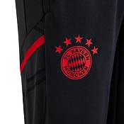 æstetisk Shah Desværre adidas Bayern Munich '22 Condivo Night Grey Training Pants | Dick's  Sporting Goods