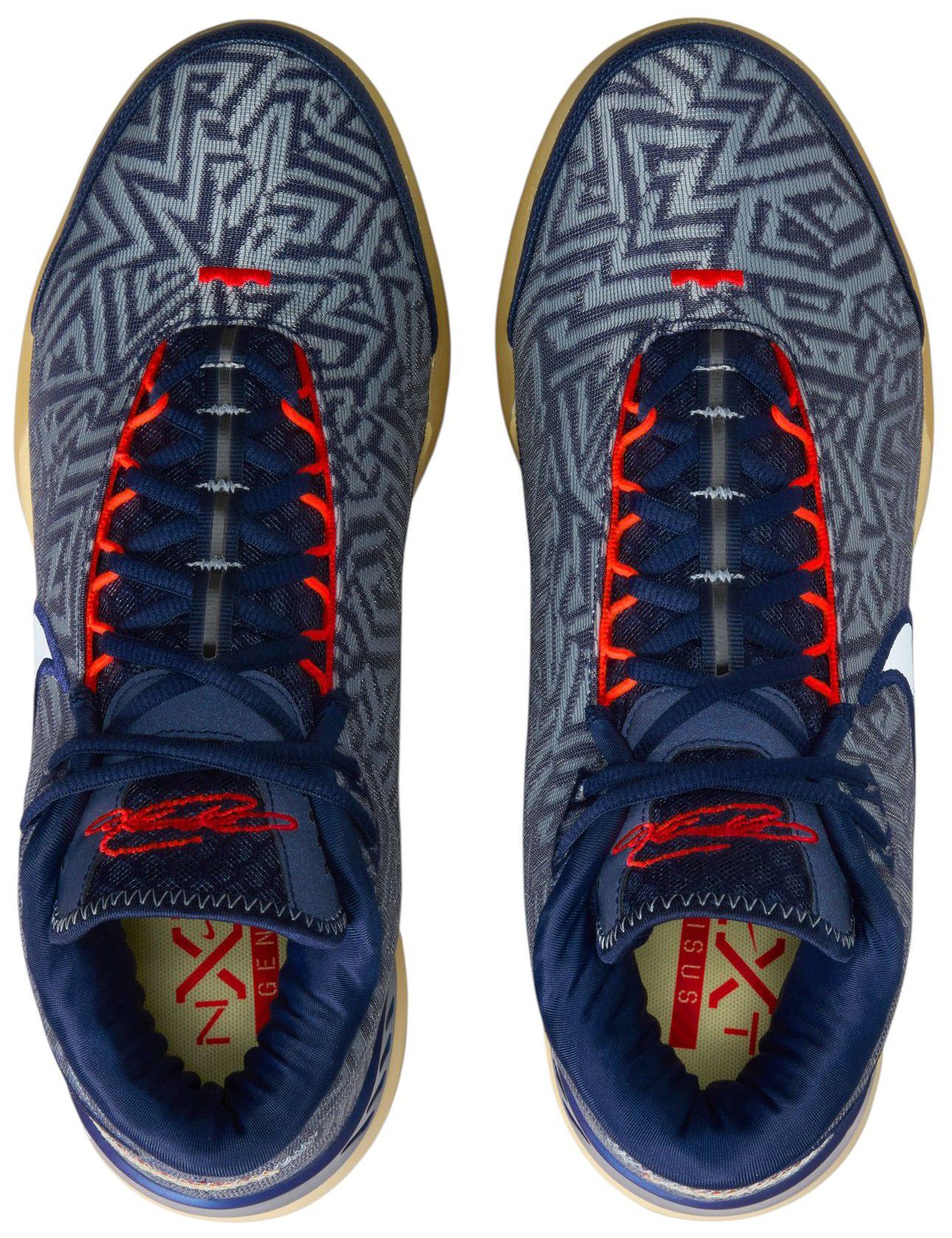 Nike LeBron NXXT Genisus Basketball Shoes product image