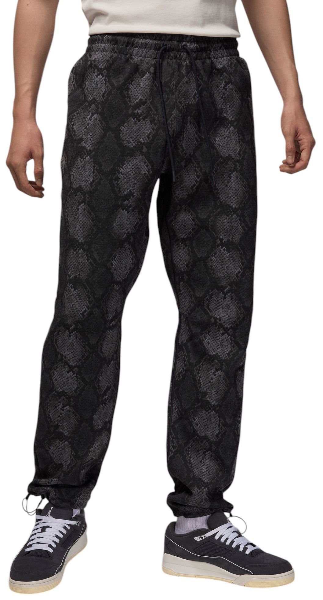 Jordan Men's Dri-FIT Sport Hoop Fleece Printed Pants product image
