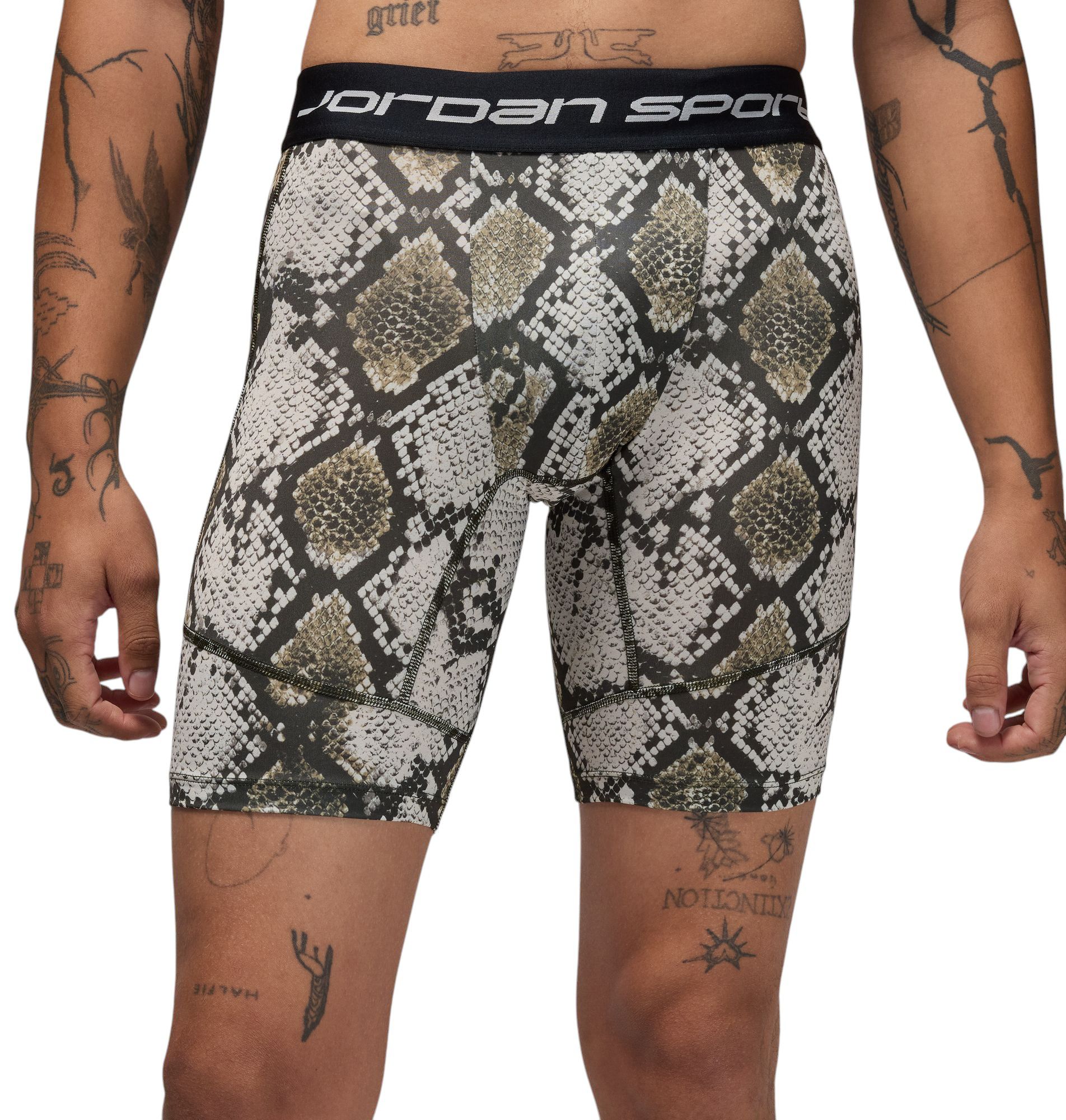 Jordan Men's Dri-FIT Sport Shorts product image