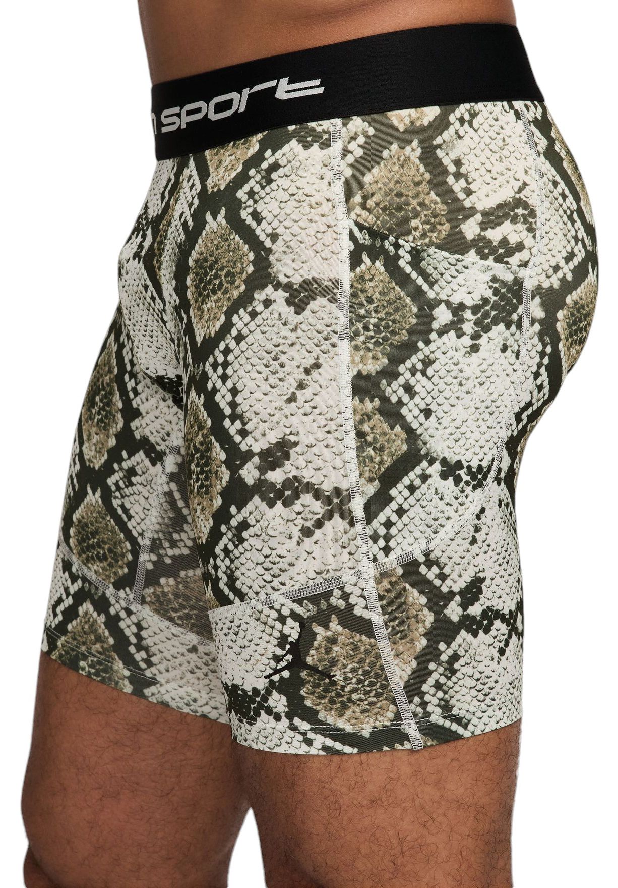 Jordan Men's Dri-FIT Sport Shorts product image