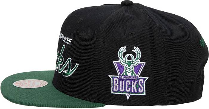 Nike, Accessories, Nike Purple And Green 9s Throwback Milwaukee Bucks Hat