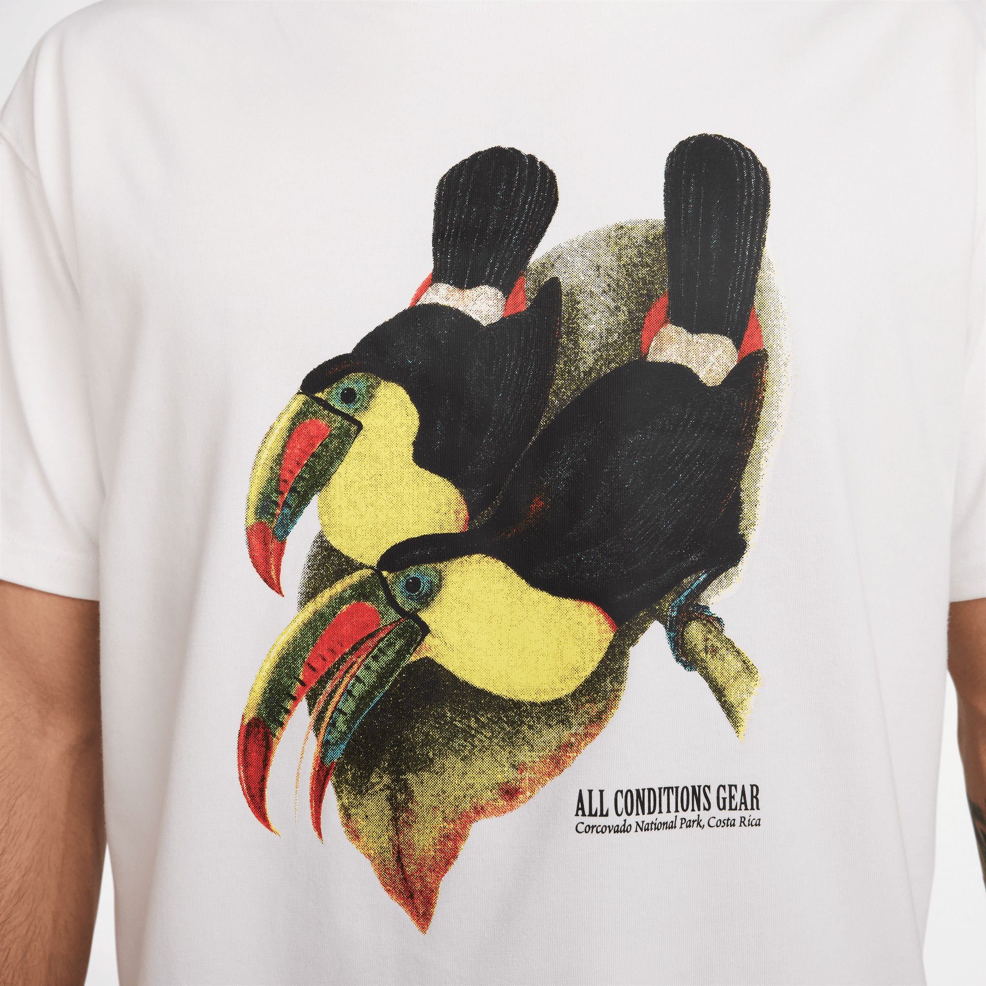 Nike Men's ACG Dri-FIT Toucan Graphic T-Shirt product image