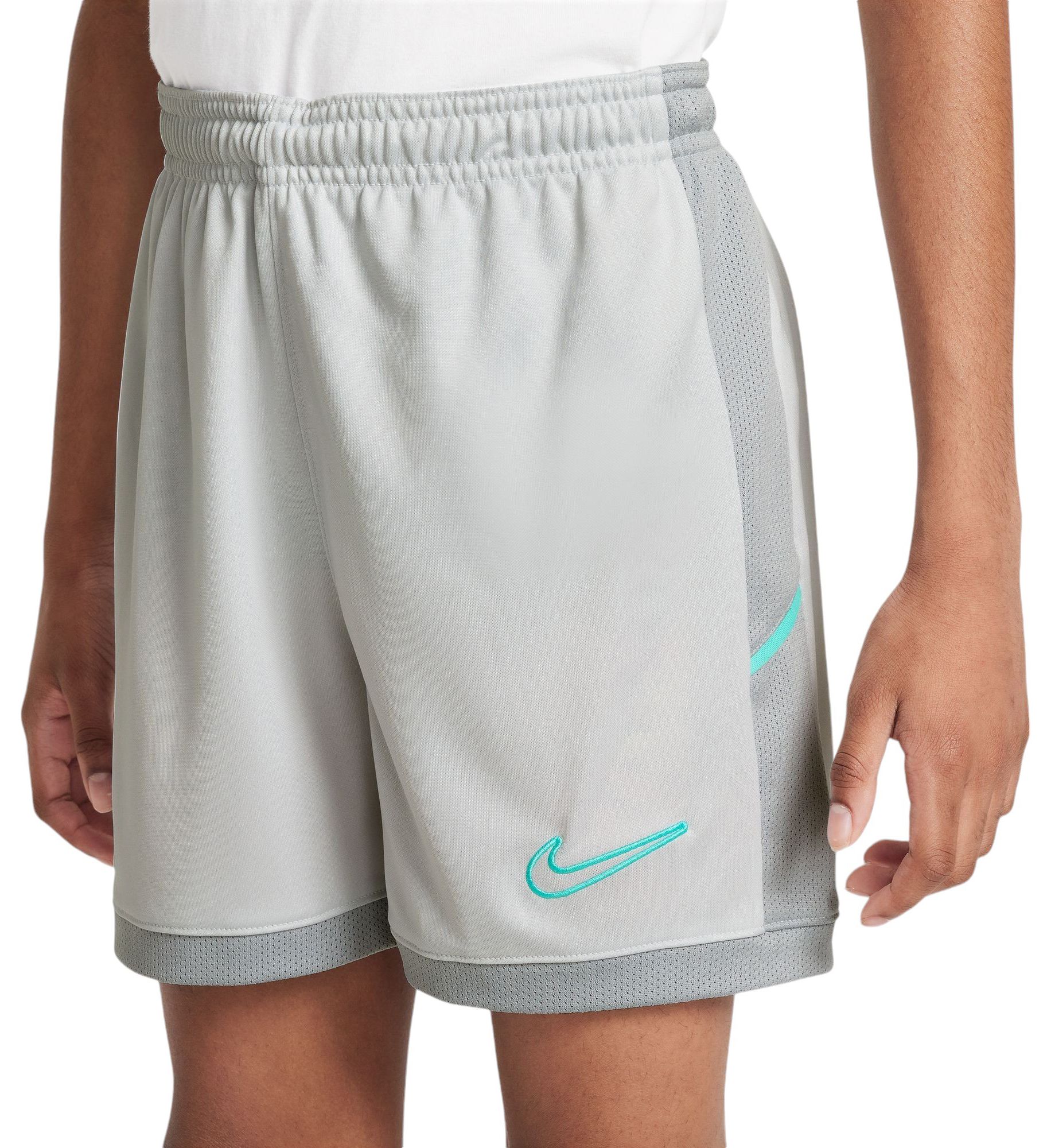 Nike Dri-FIT 4" Shorts product image