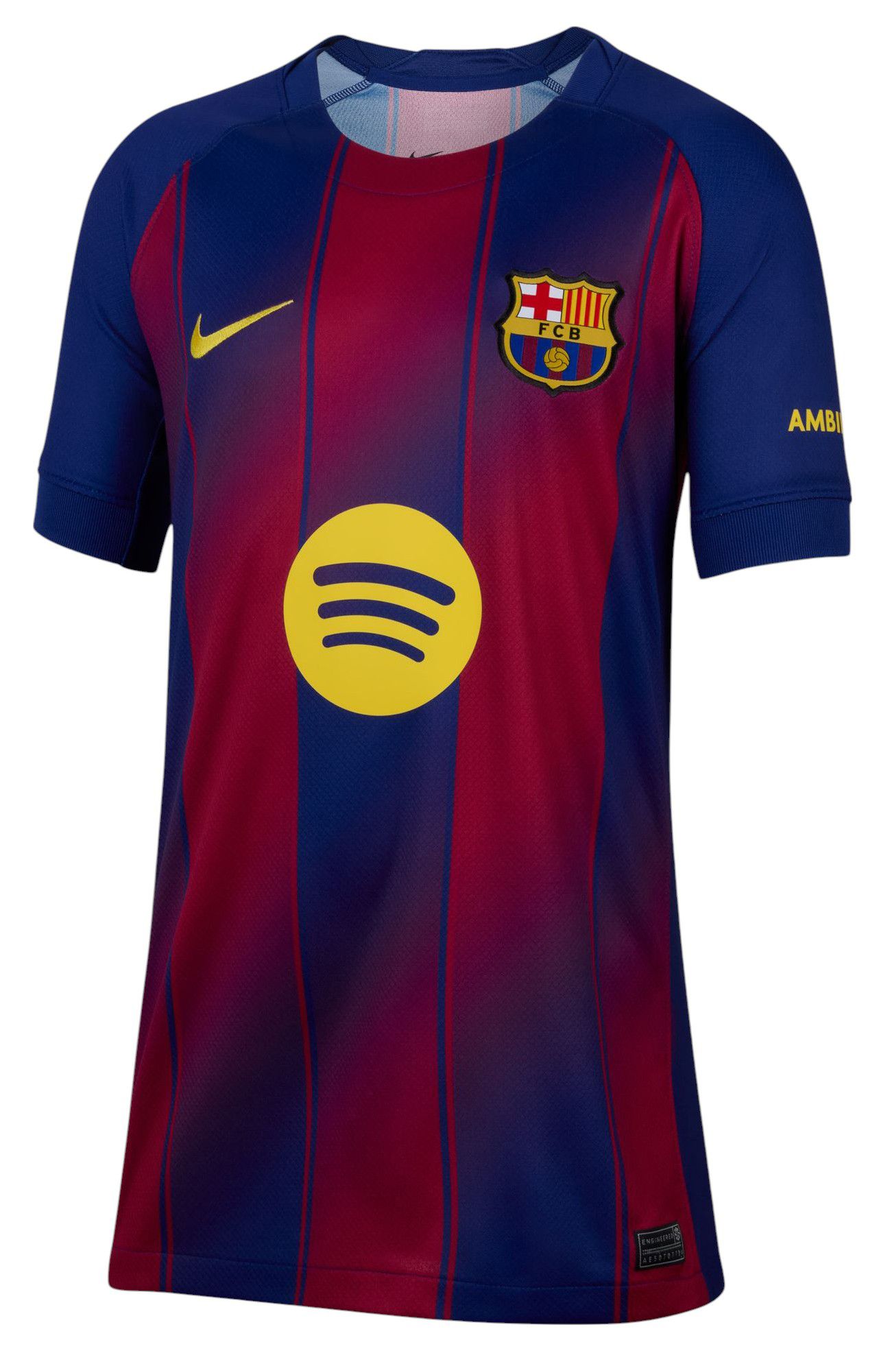 Nike Youth FC Barcelona 2025-26 Home Replica Jersey product image