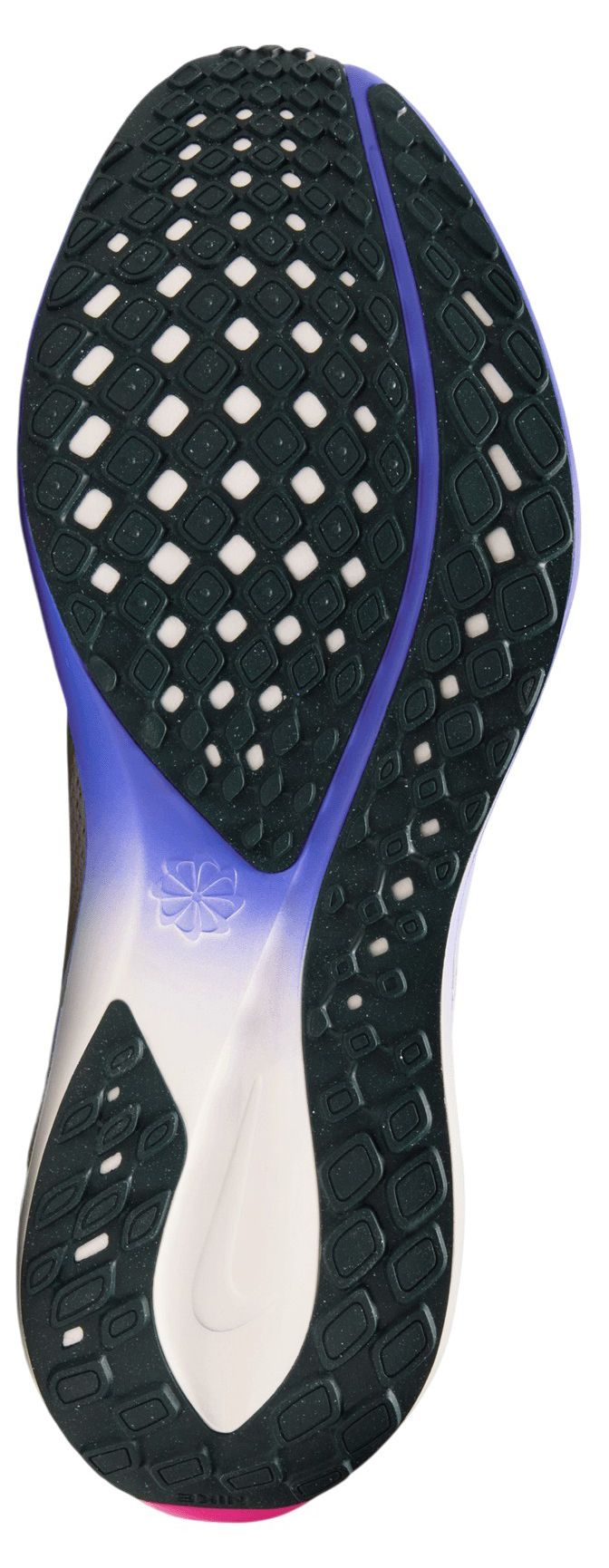 Nike Men's Pegasus 41 Running Shoes product image