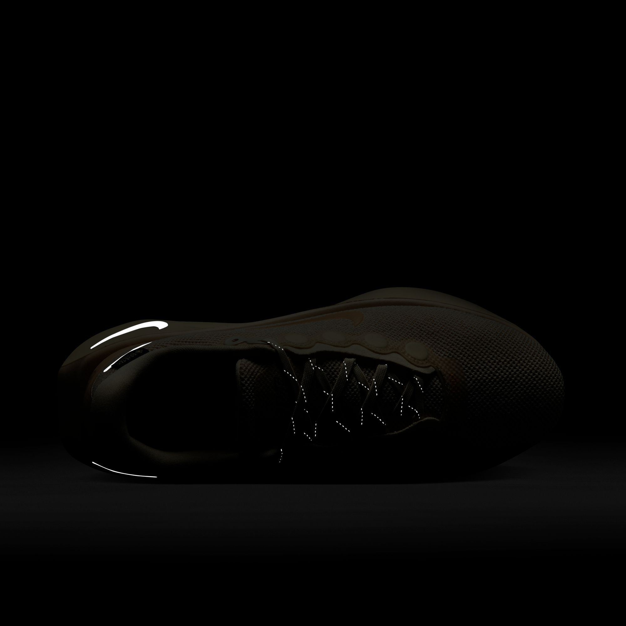 Nike Women's Motiva GORE-TEX Shoes product image