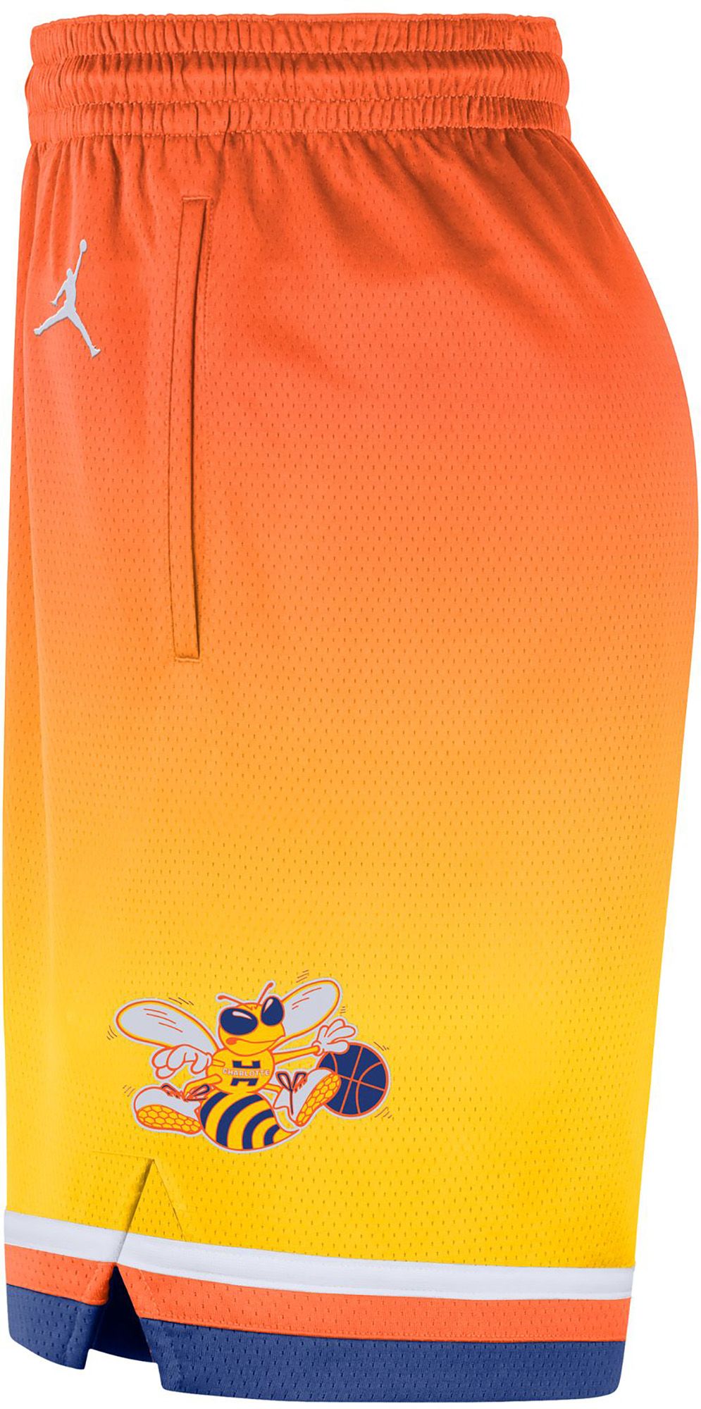 Jordan Adult 2025-26 City Edition Charlotte Hornets Swingman Shorts product image