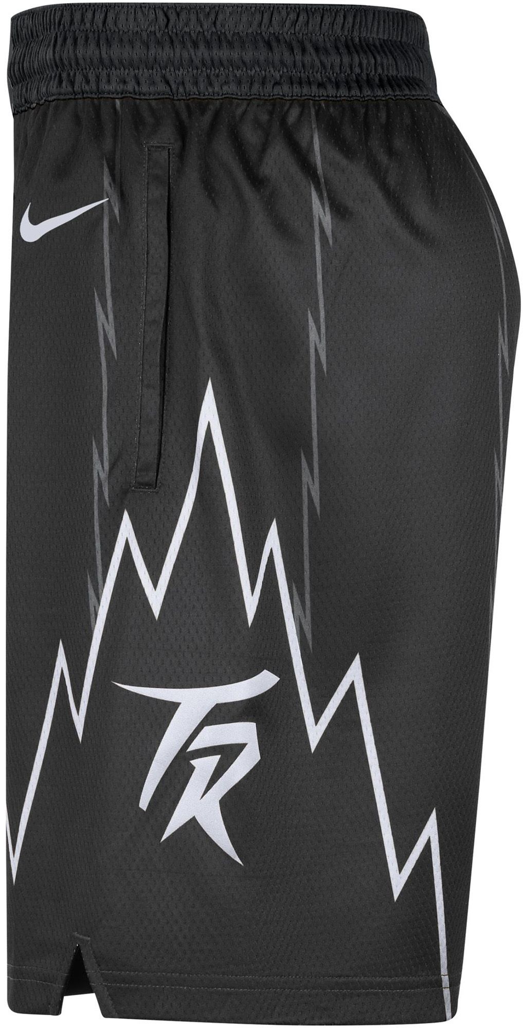 Nike Adult 2025-26 City Edition Toronto Raptors Swingman Shorts product image