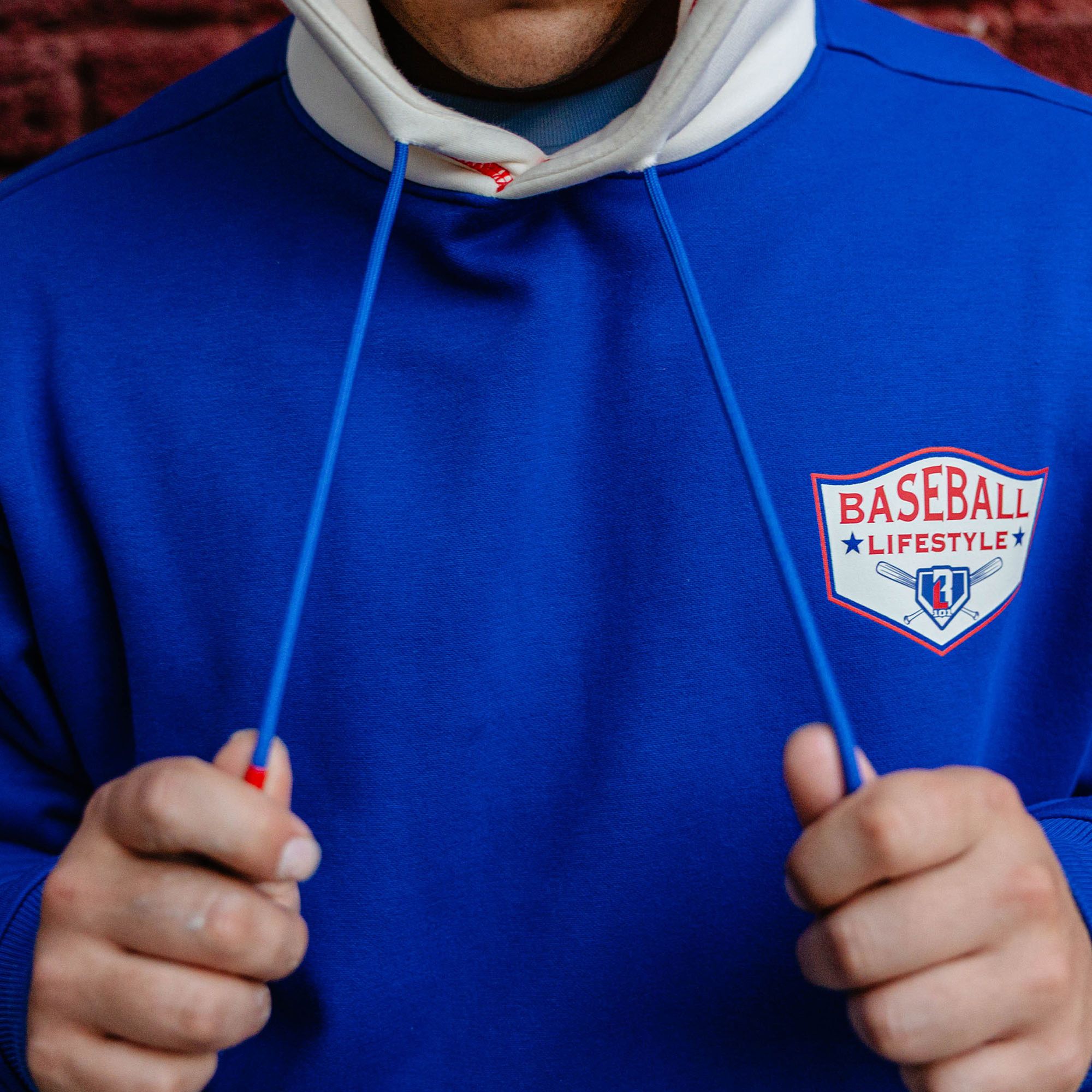 Baseball Lifestyle 101 Baseball Champions Hoodie product image