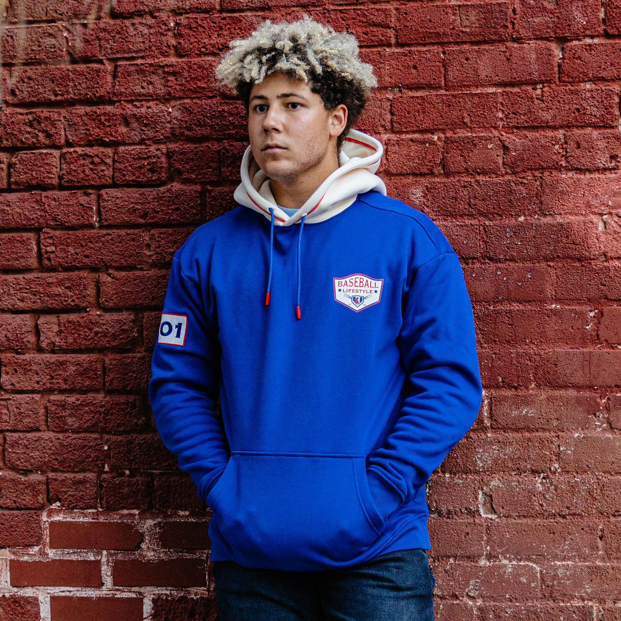 Baseball Lifestyle 101 Baseball Champions Hoodie product image