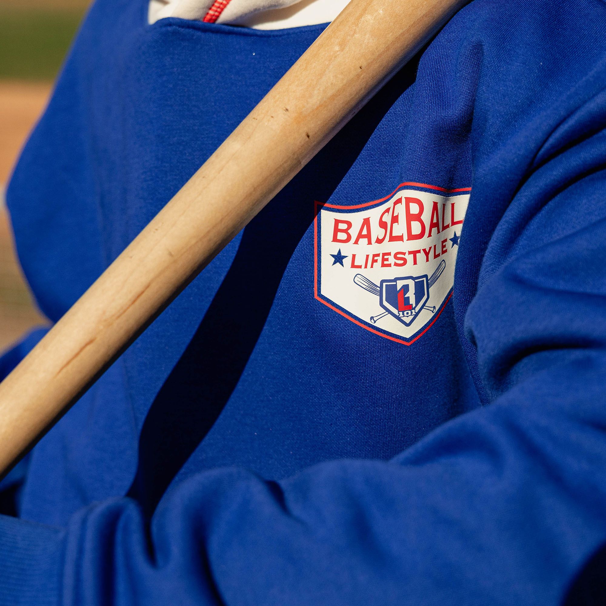 Baseball Lifestyle 101 Boys' Baseball Champions Hoodie product image