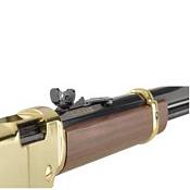 Henry Golden Boy Rifle Available In Store At Dick S