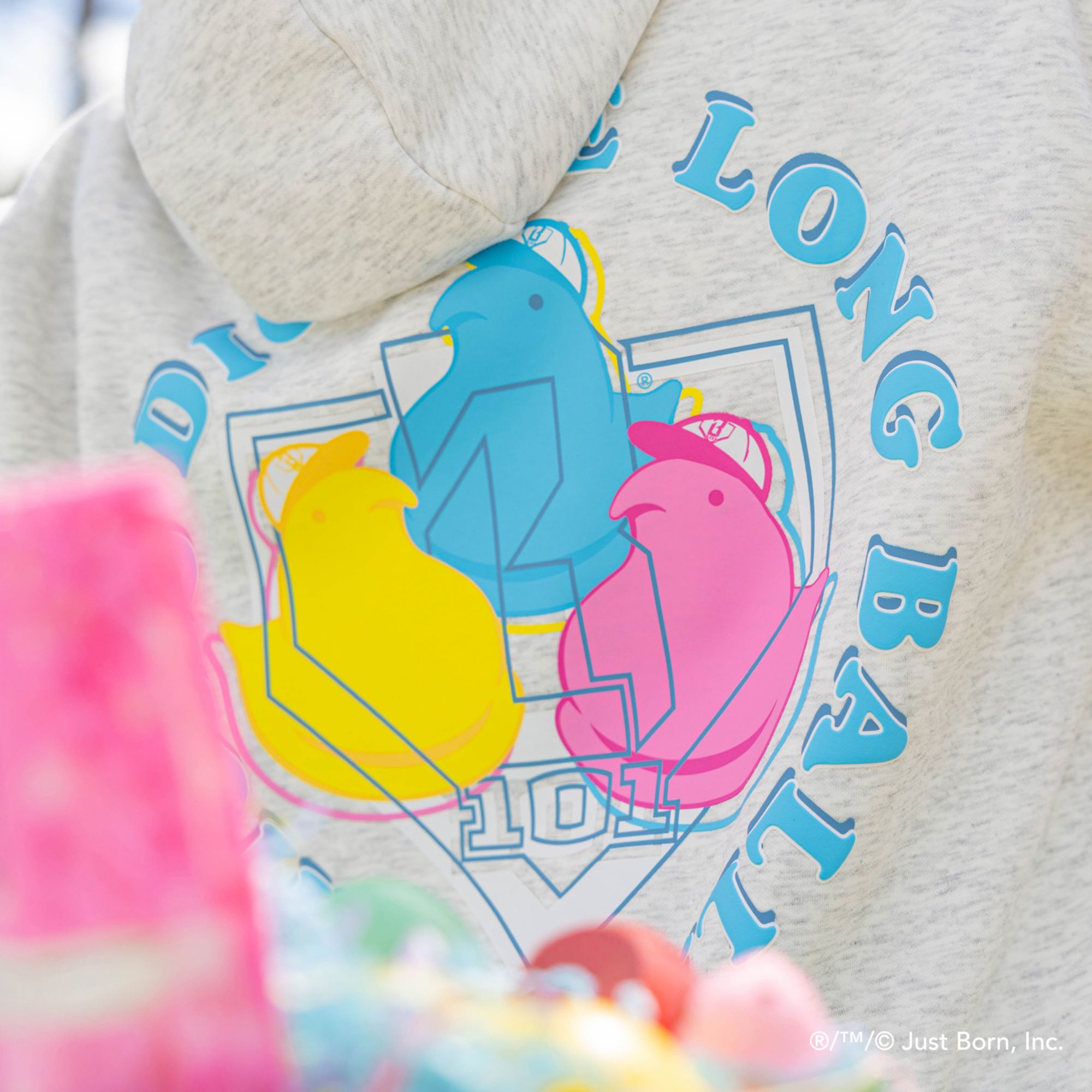 Baseball Lifestyle 101 Youth PEEPS Hoodie product image