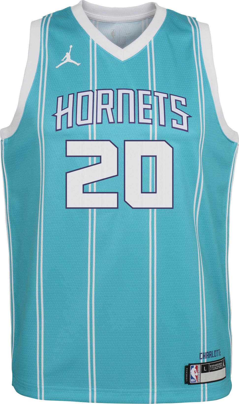 Jordan Youth Charlotte Hornets Gordon Hayward #20 Teal Dri-FIT Swingman Jersey product image