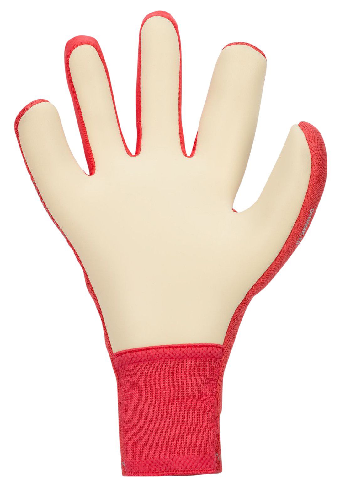Nike Adult Dynamic Fit Goalkeeper Gloves product image
