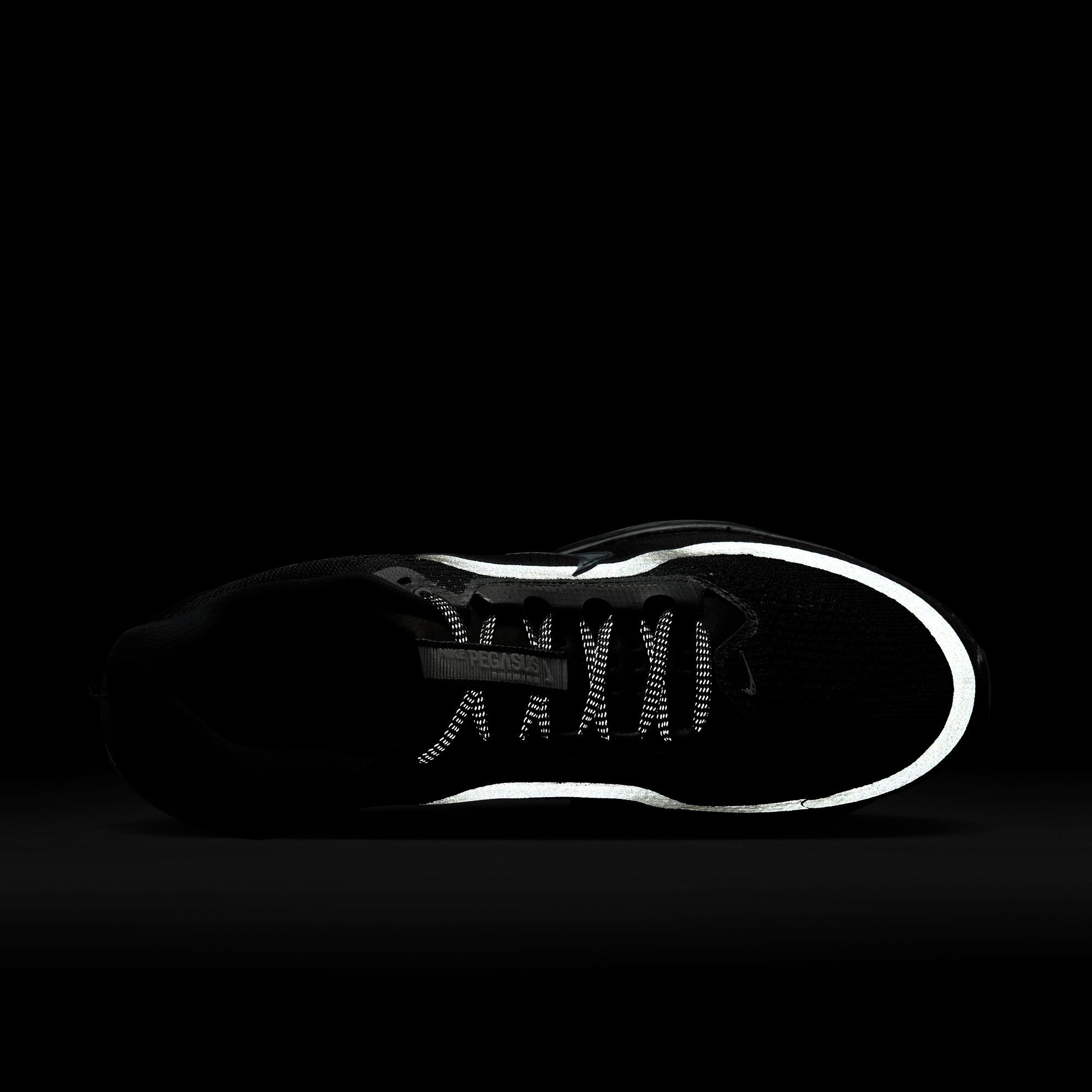 Nike Men's Pegasus Premium Running Shoes product image