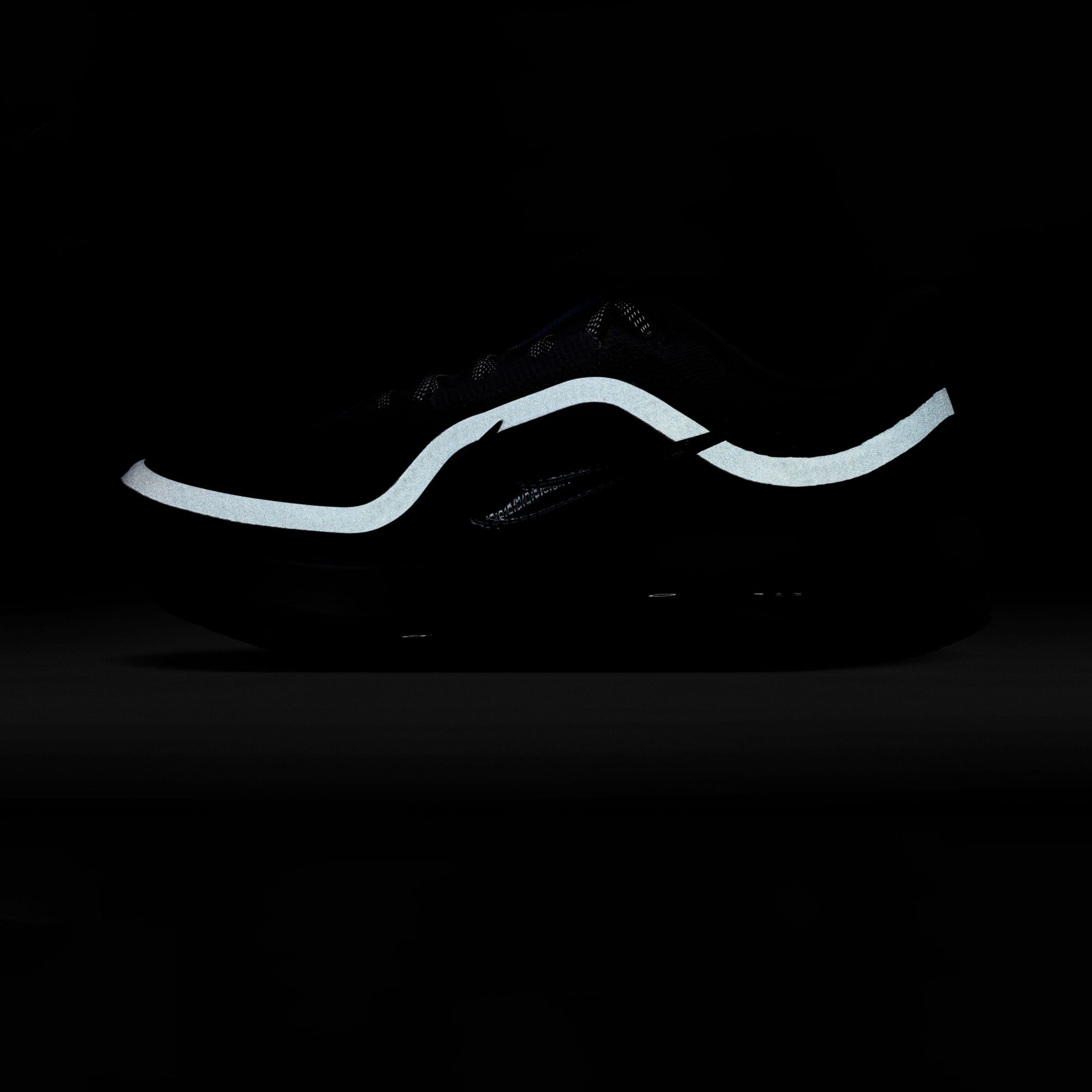 Nike Men's Pegasus Premium Running Shoes product image