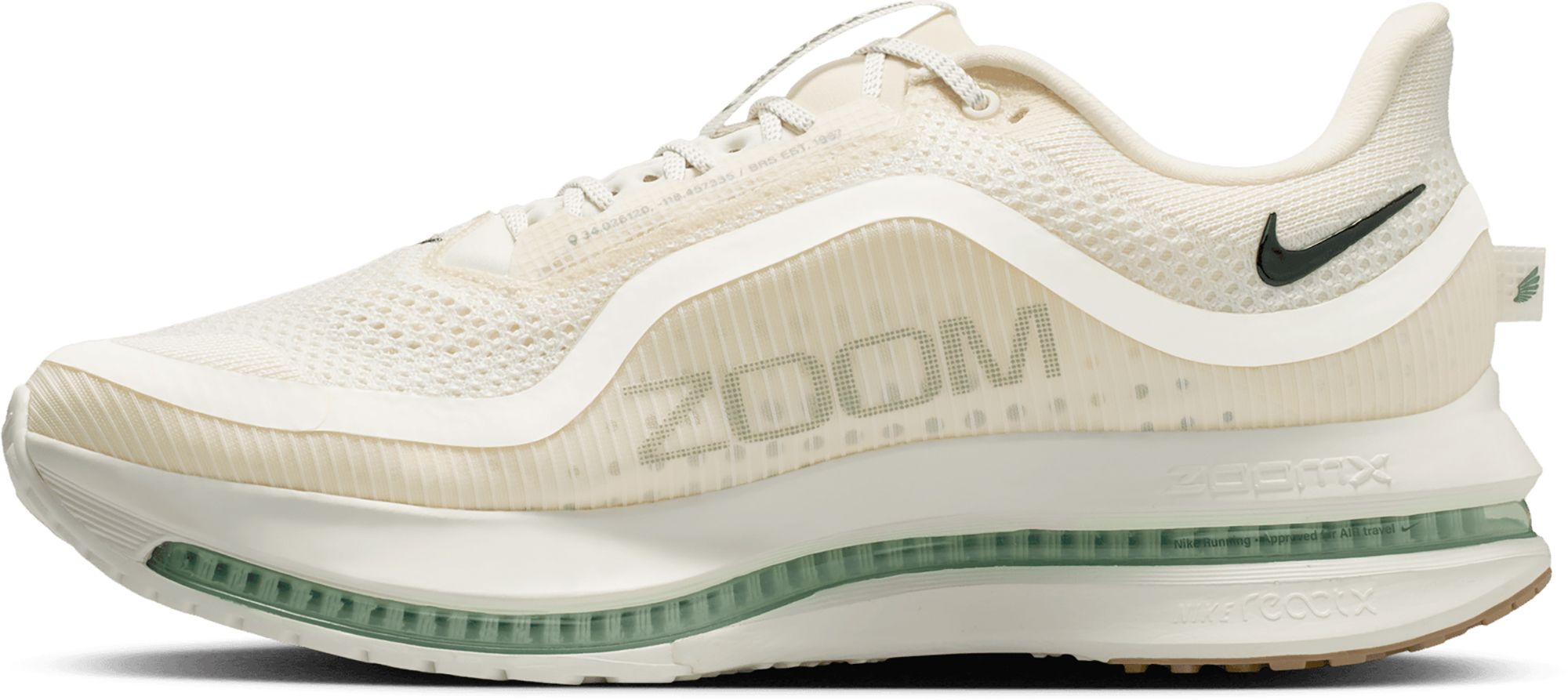 Nike Men's Pegasus Premium Running Shoes product image