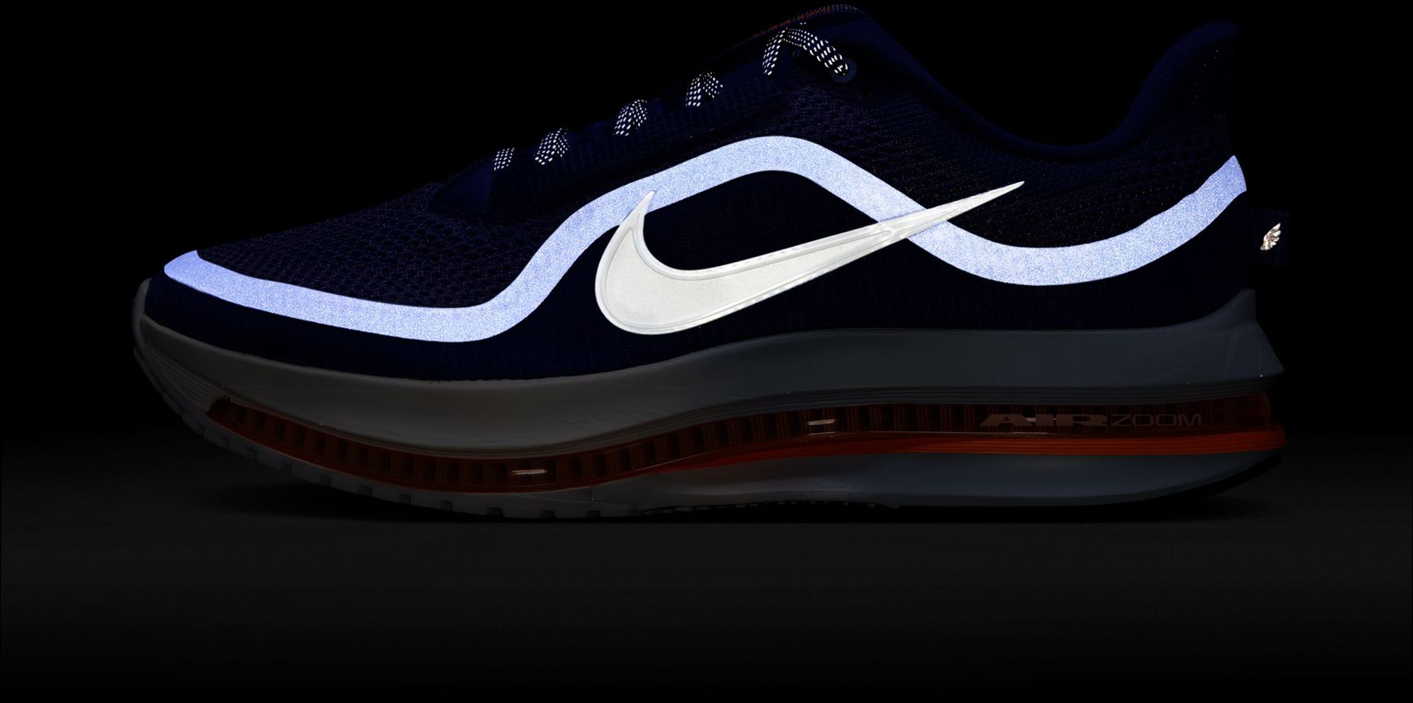 Nike Men's Pegasus Premium Running Shoes product image
