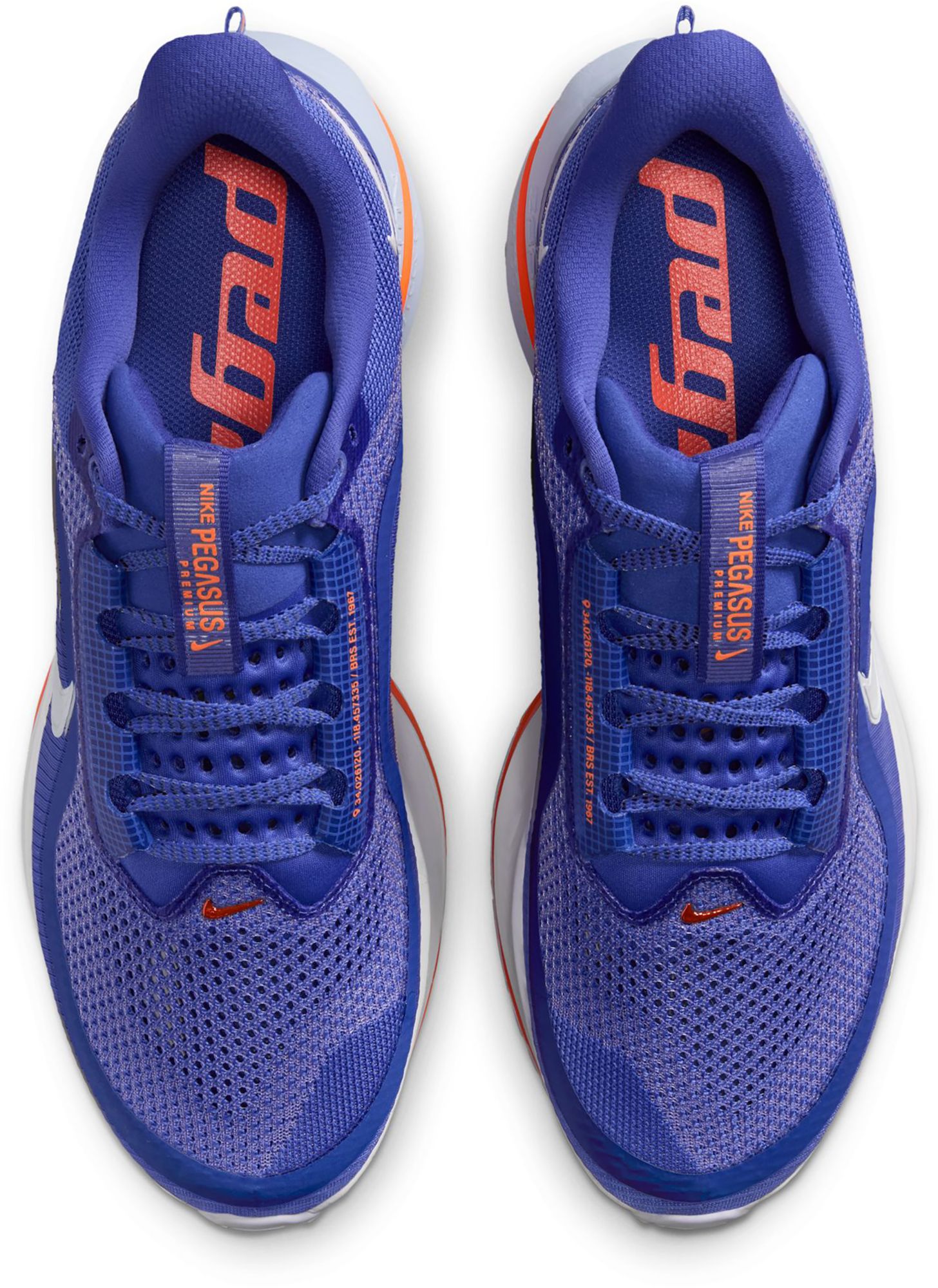 Nike Men's Pegasus Premium Running Shoes product image