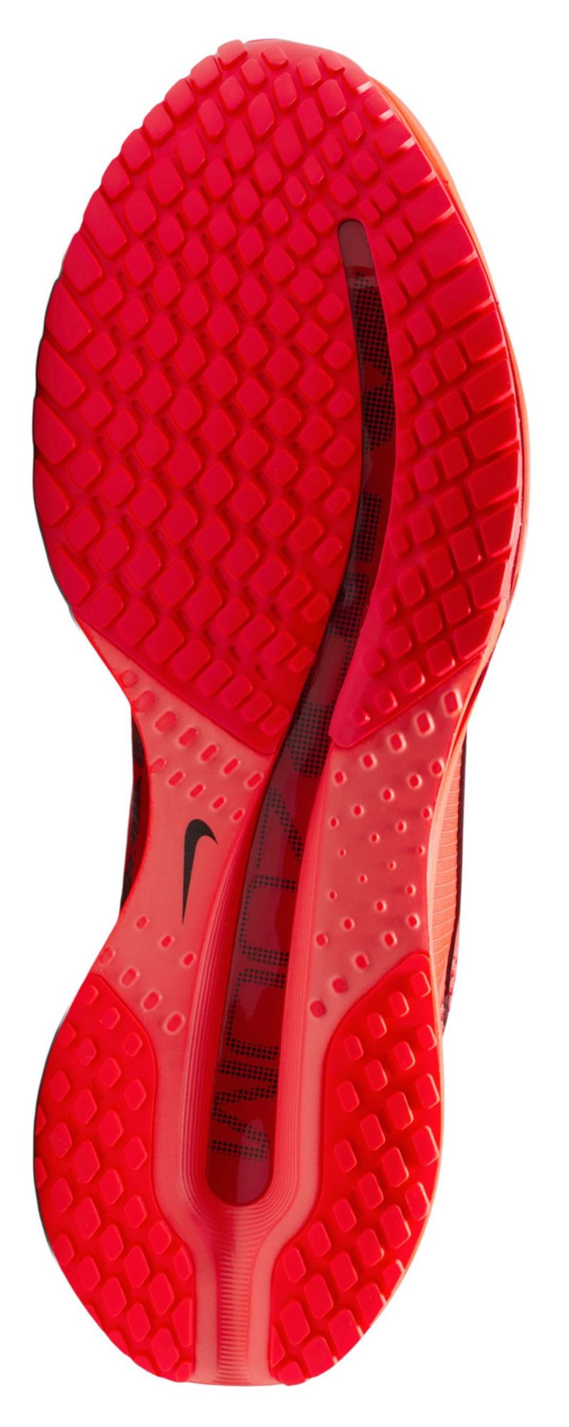 Nike Men's Pegasus Premium Running Shoes product image