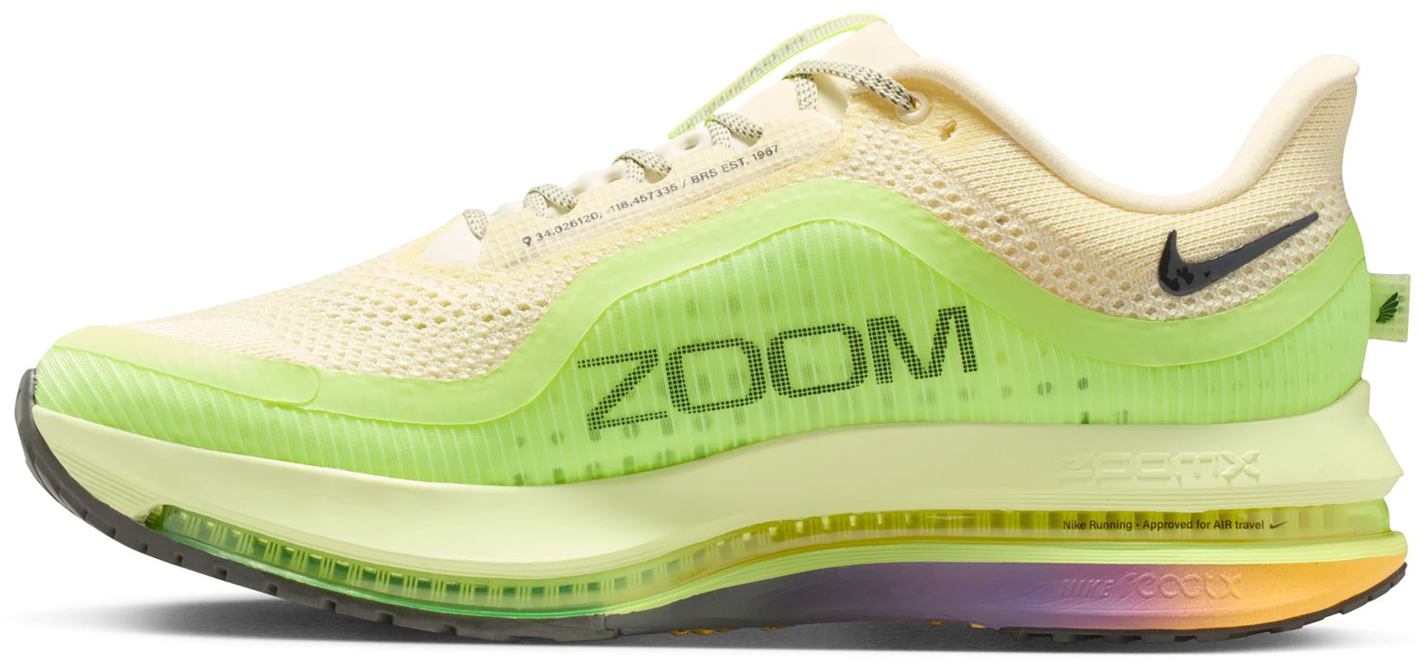 Nike Men's Pegasus Premium Running Shoes product image