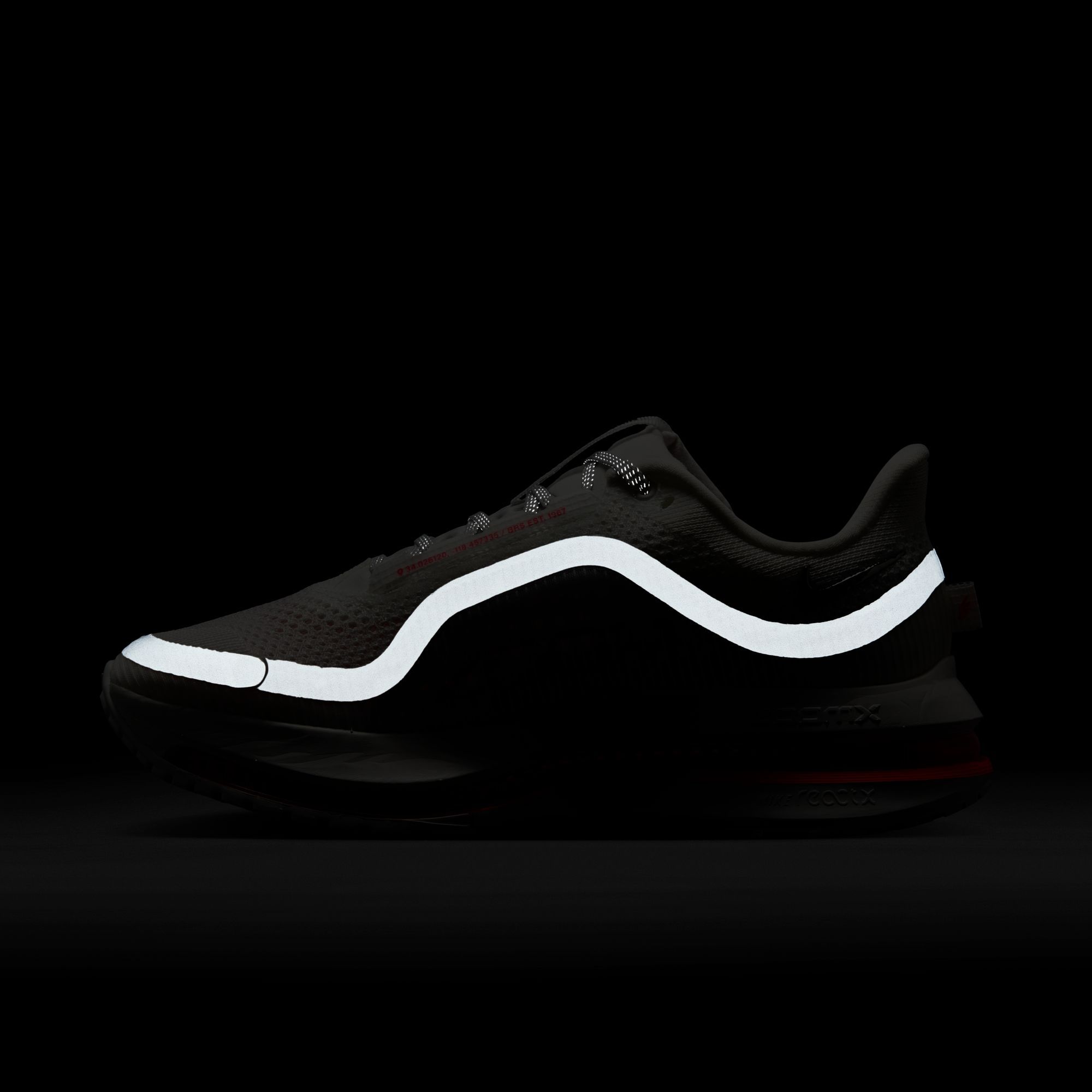 Nike Women's Pegasus Premium Running Shoes product image