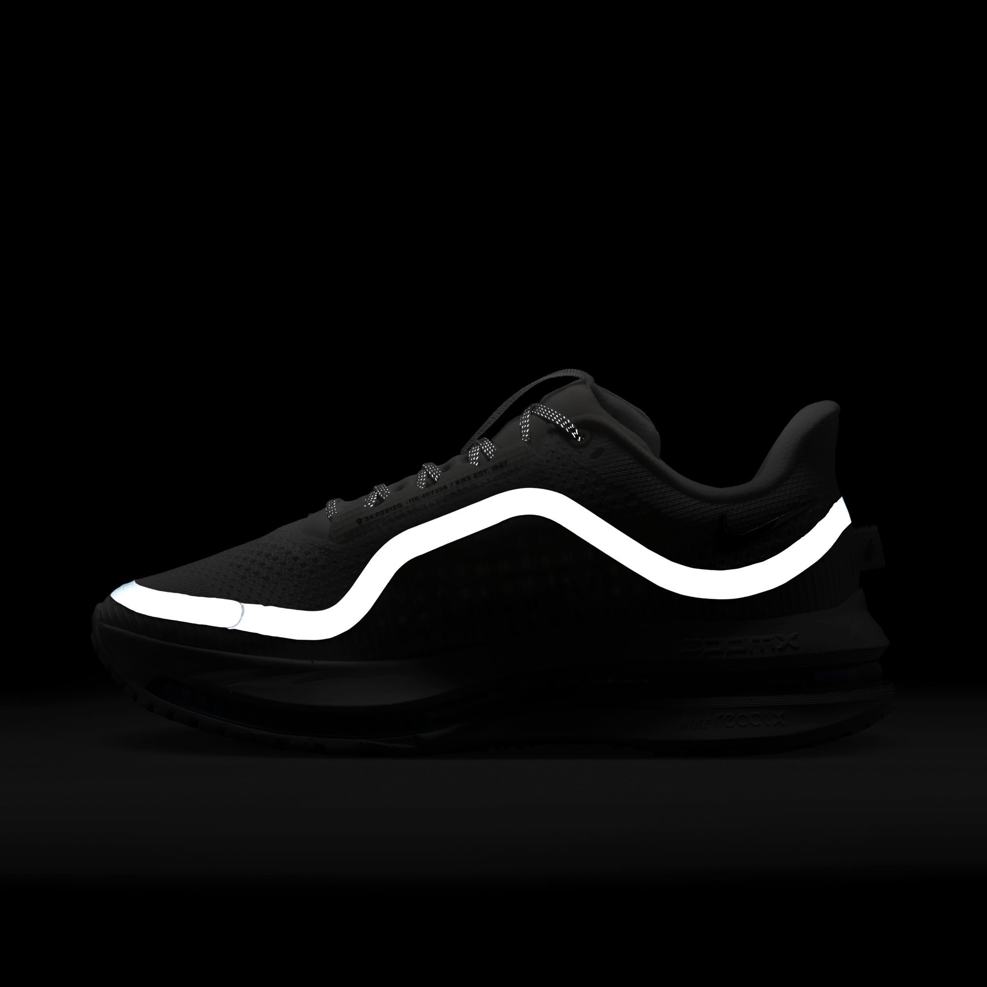 Nike Women's Pegasus Premium Running Shoes product image