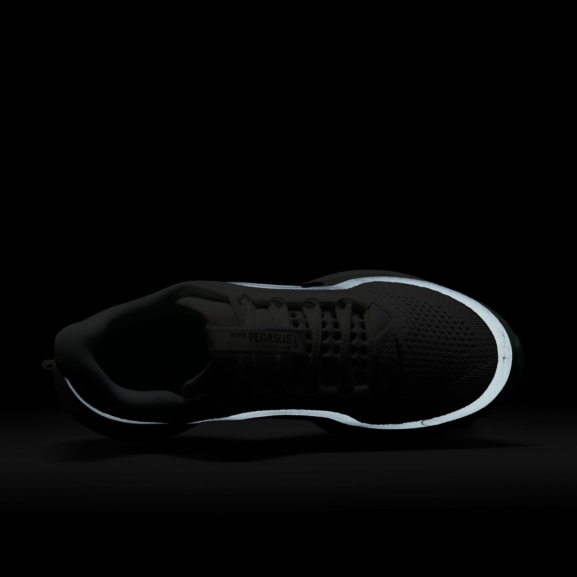 Nike Women's Pegasus Premium Running Shoes product image