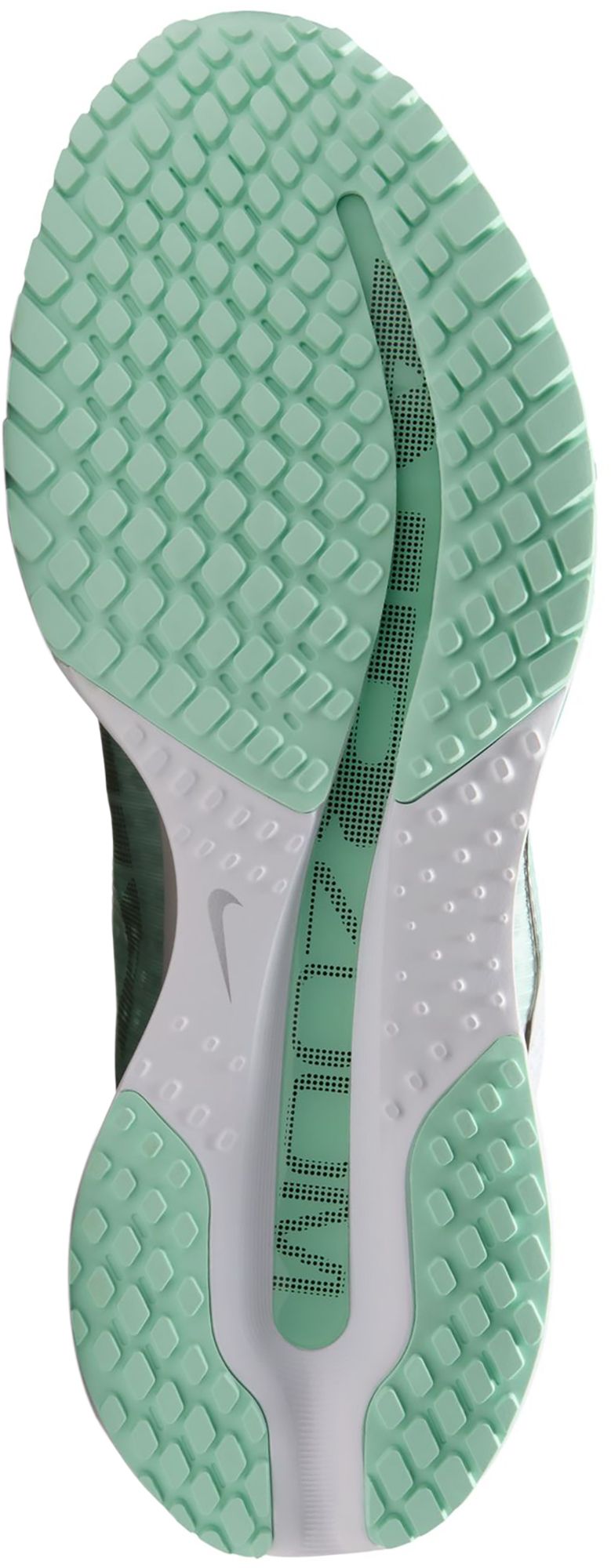 Nike Women's Pegasus Premium Running Shoes product image