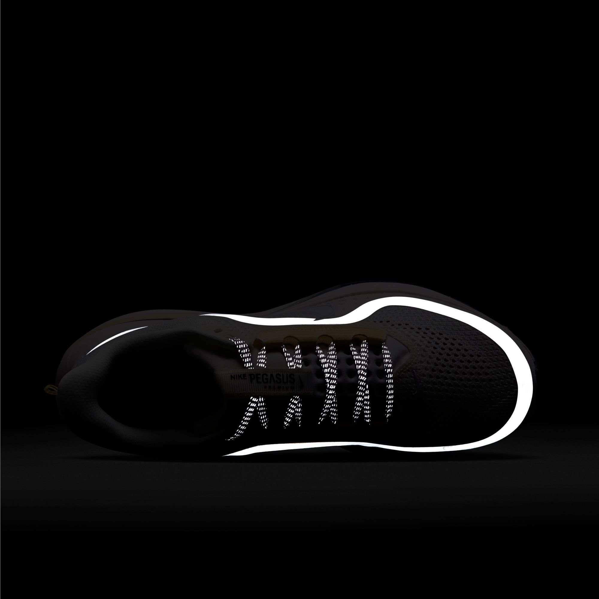 Nike Women's Pegasus Premium Running Shoes product image