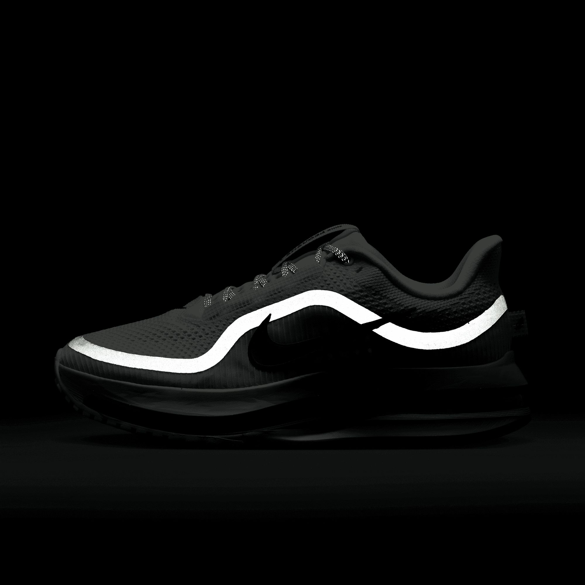 Nike Women's Pegasus Premium Running Shoes product image