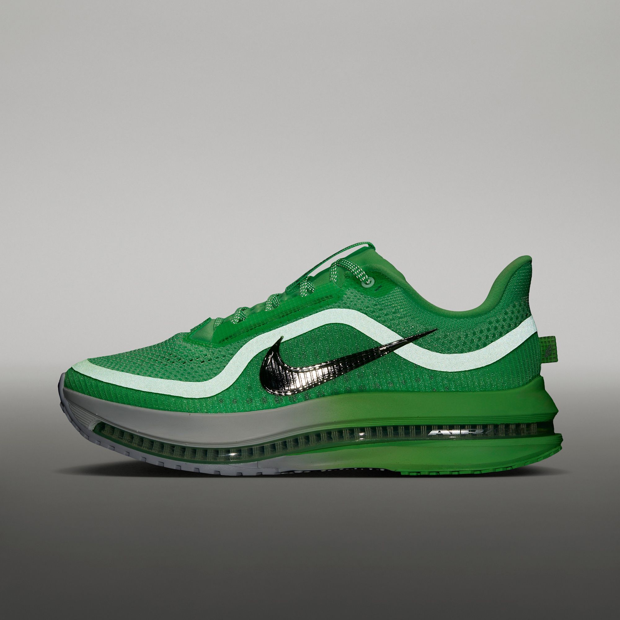 Nike Women's Pegasus Premium Running Shoes product image
