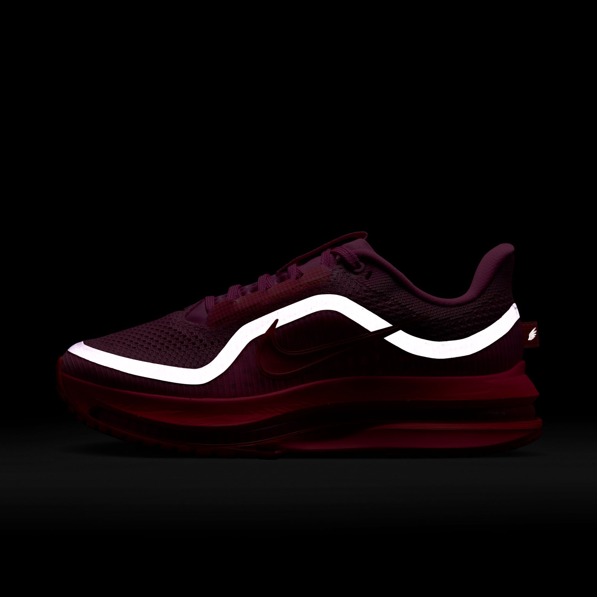 Nike Women's Pegasus Premium Running Shoes product image