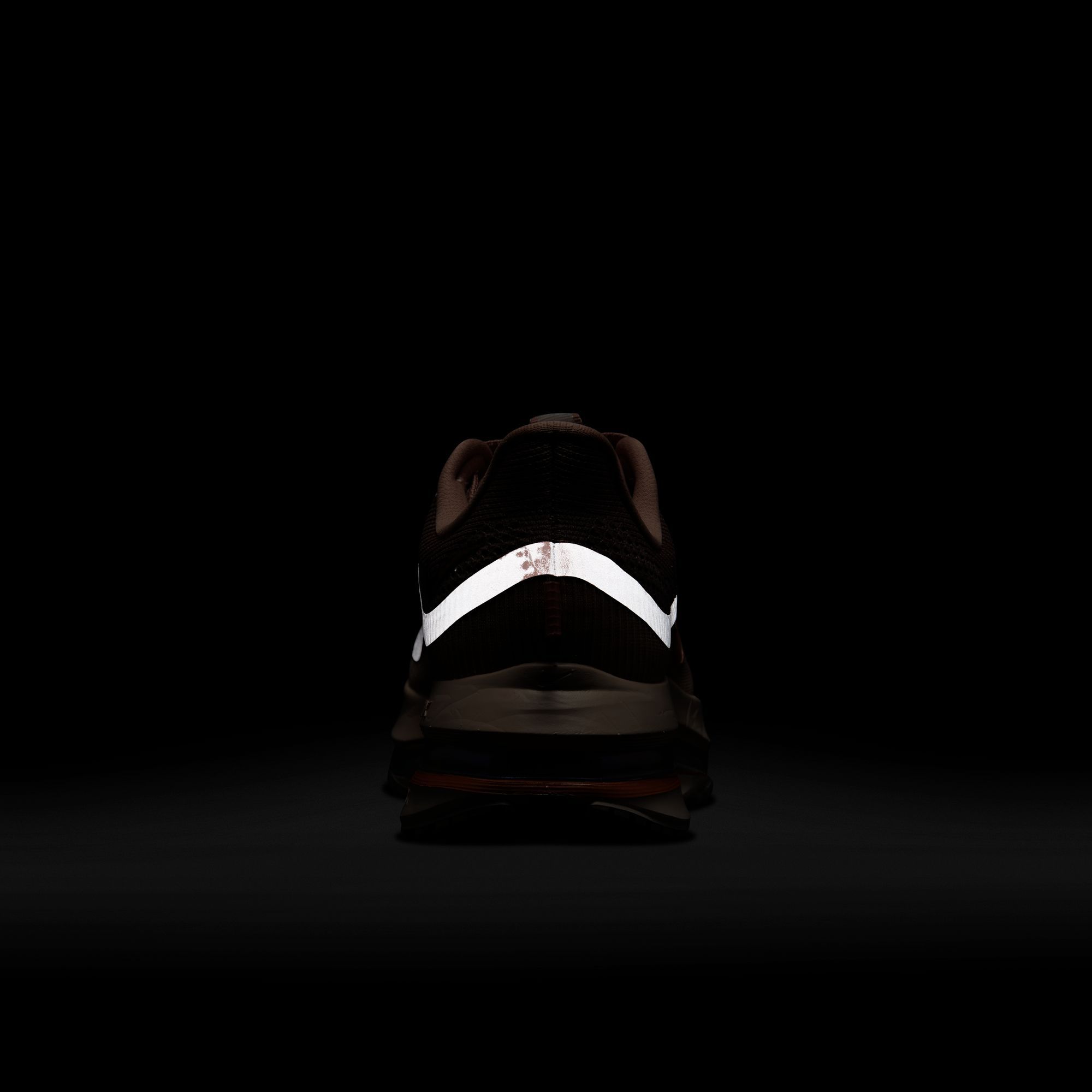 Nike Women's Pegasus Premium Running Shoes product image