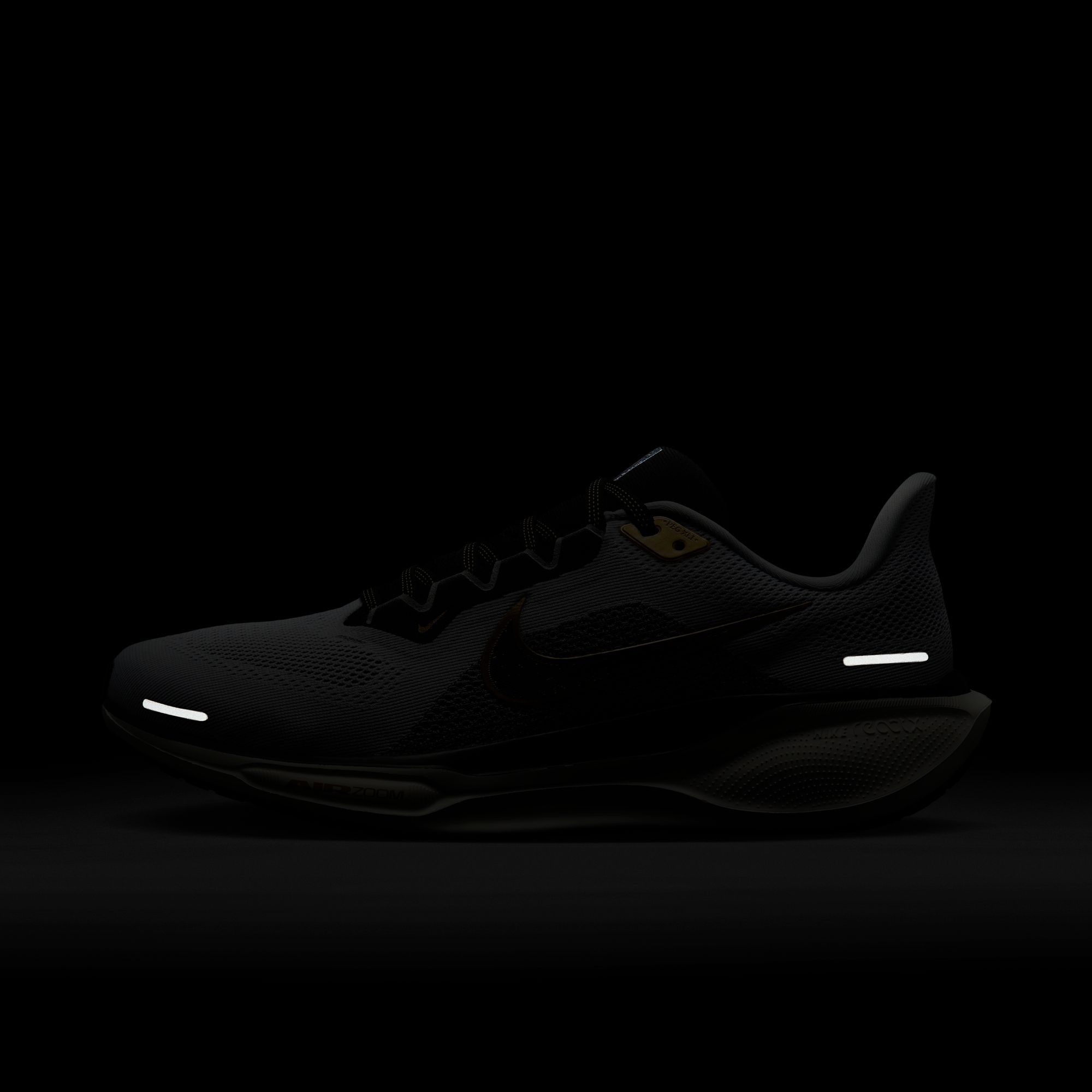 Nike Men's Pegasus 41 Running Shoes product image